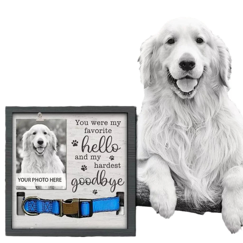 Pet Picture Frame Memorials Dog Collar Frame Remembrance Sympathy Gift for Loss