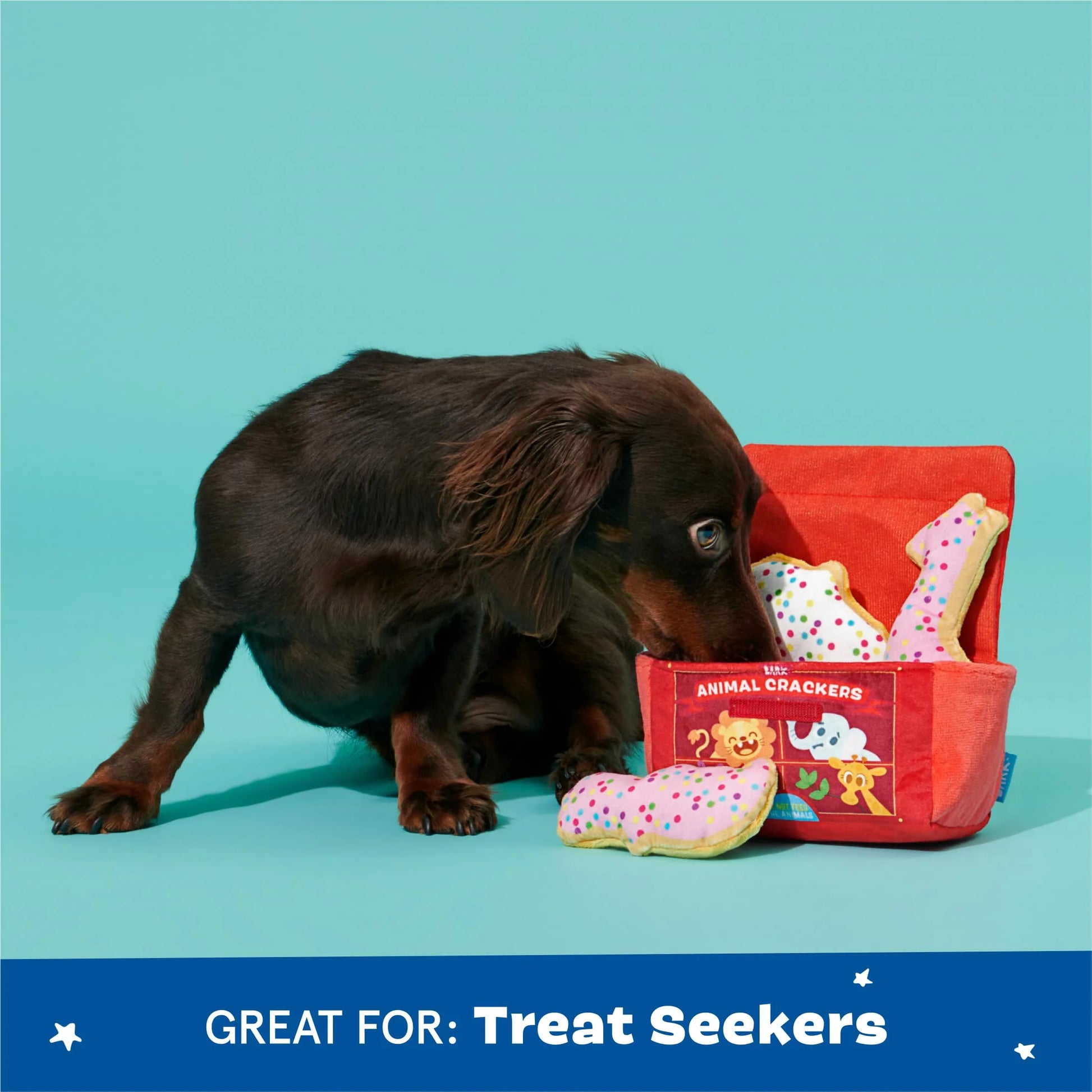 Animal Squeakers Snacks Cookie Snack Pack Multicolor Plush Dog Toy, for Extra Small to Small Dogs