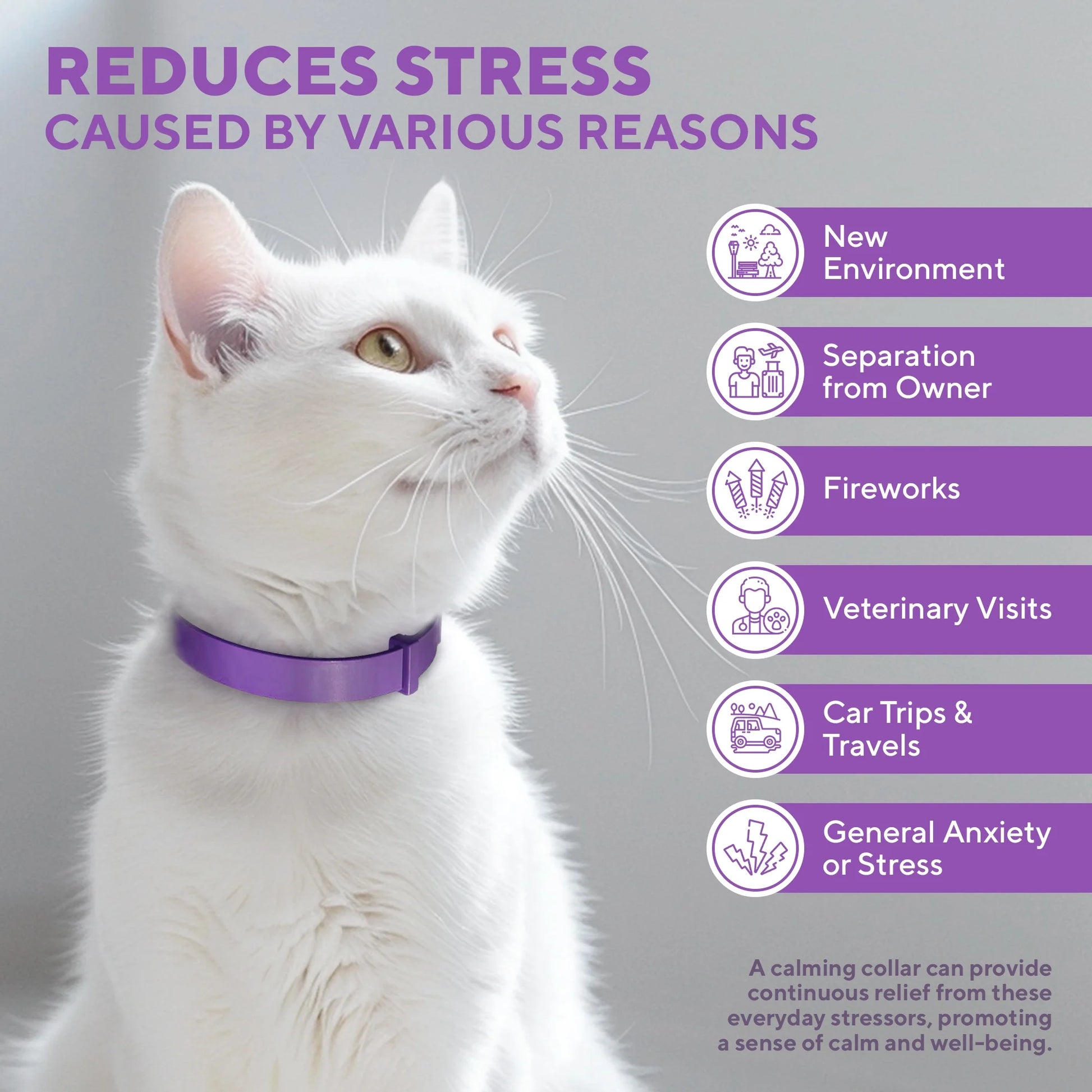Cat Calming Collar and Anti-Anxiety Solutions - Feline Pheromone Collars for Stress Relief, Behavioral Issues, and Aggression Management