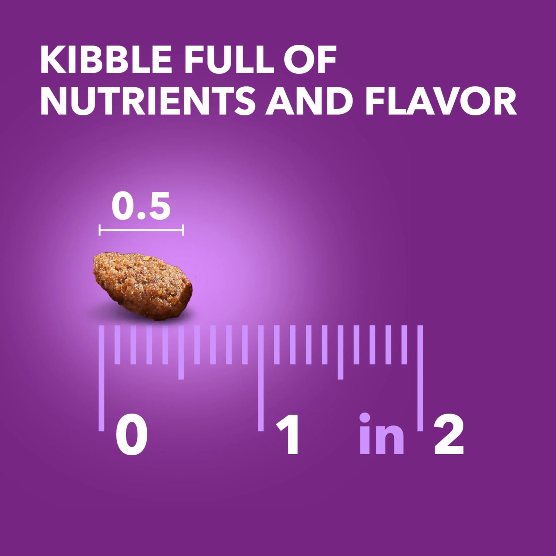 Advanced Health Adult Dry Dog Food for Healthy Digestion with Real Chicken, 13.5 lb Bag