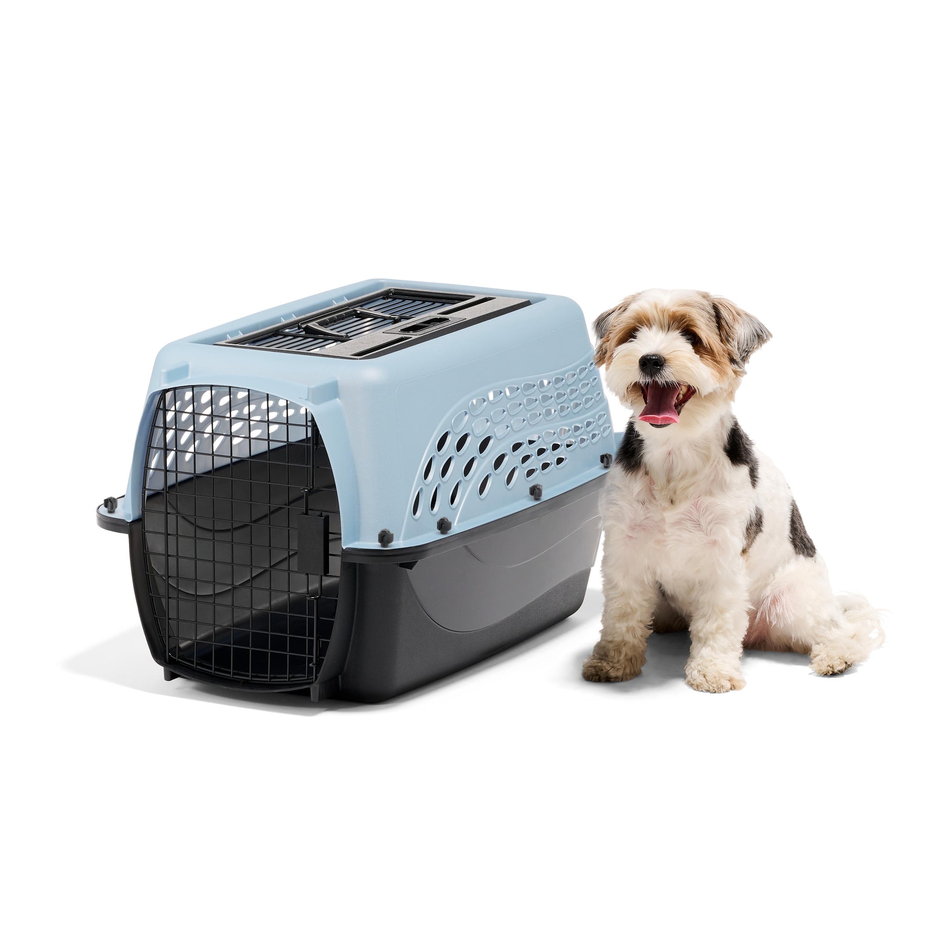 Medium Two-Door Top Load Plastic Travel Dog Kennel and Pet Carrier for Dogs and Cats, 24" for Pets up to 15 lbs, Blue