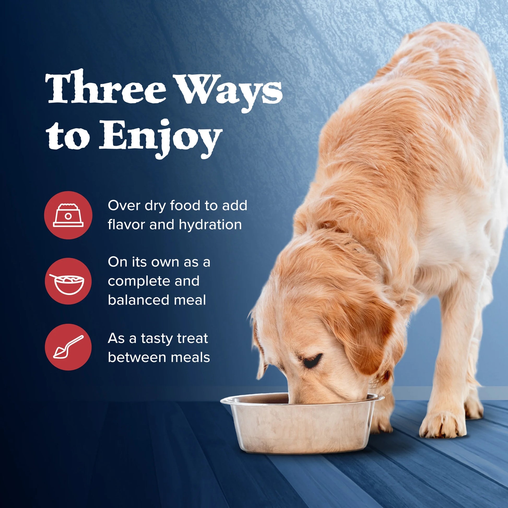 Wilderness Wolf Creek Stew Wet Dog Food with Hearty Beef in Gravy, 12.5-Ounce Can