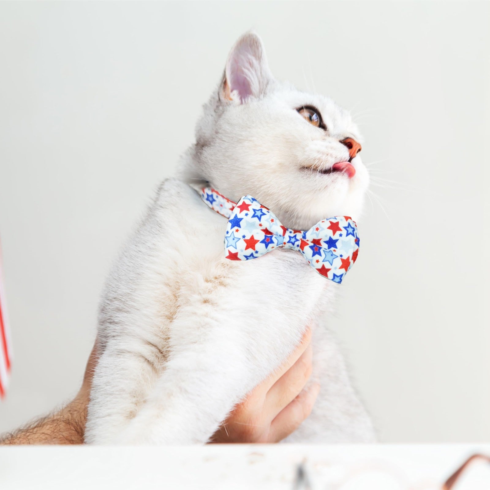 4Th of July Cat Bow Tie Collar with Bell, 2-Pack with American Stars and Pari...