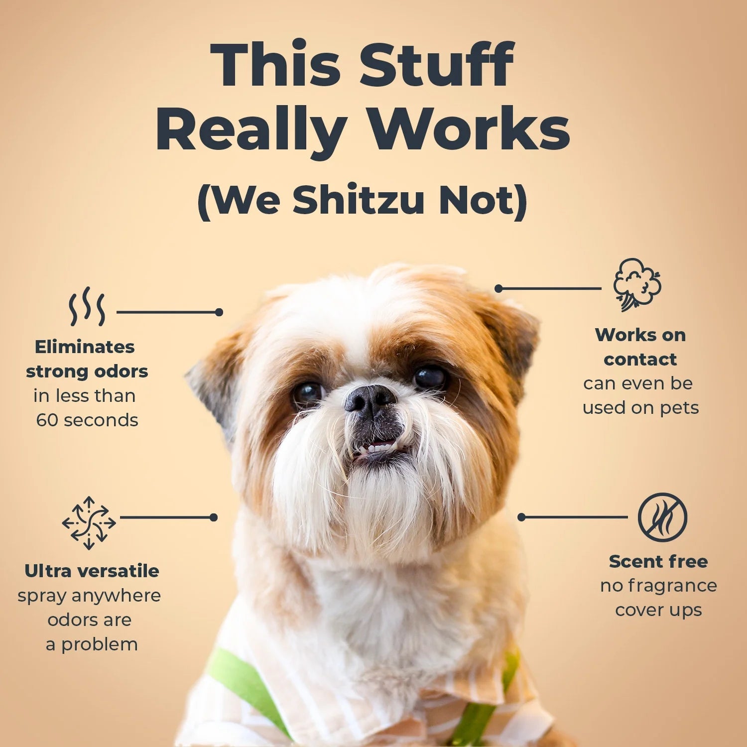 Extra Strength Pet Odor Eliminator Spray - Fragrance-Free, Non-Toxic Formula for Immediate Odor Removal in Homes and Vehicles, Endorsed by Veterinarians, 16 Oz