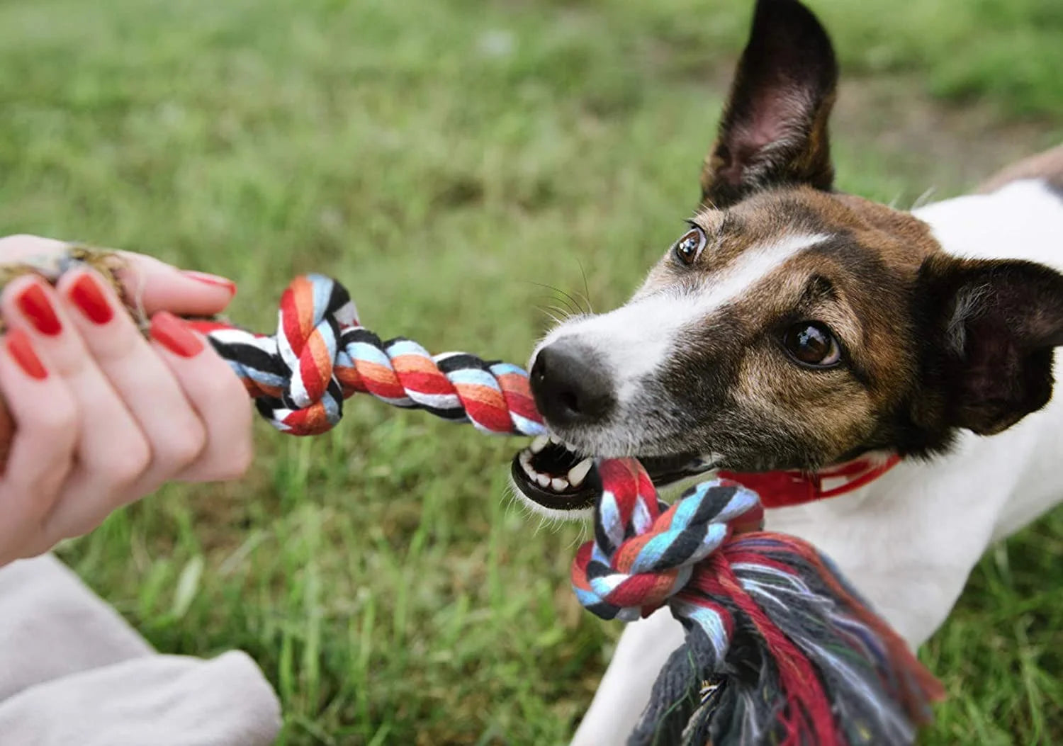 4-Pack Dog Rope Toys, Durable Cotton Chew and Tug Ropes for Indoor/Outdoor Interactive Play, Ideal for Small to Medium Dogs