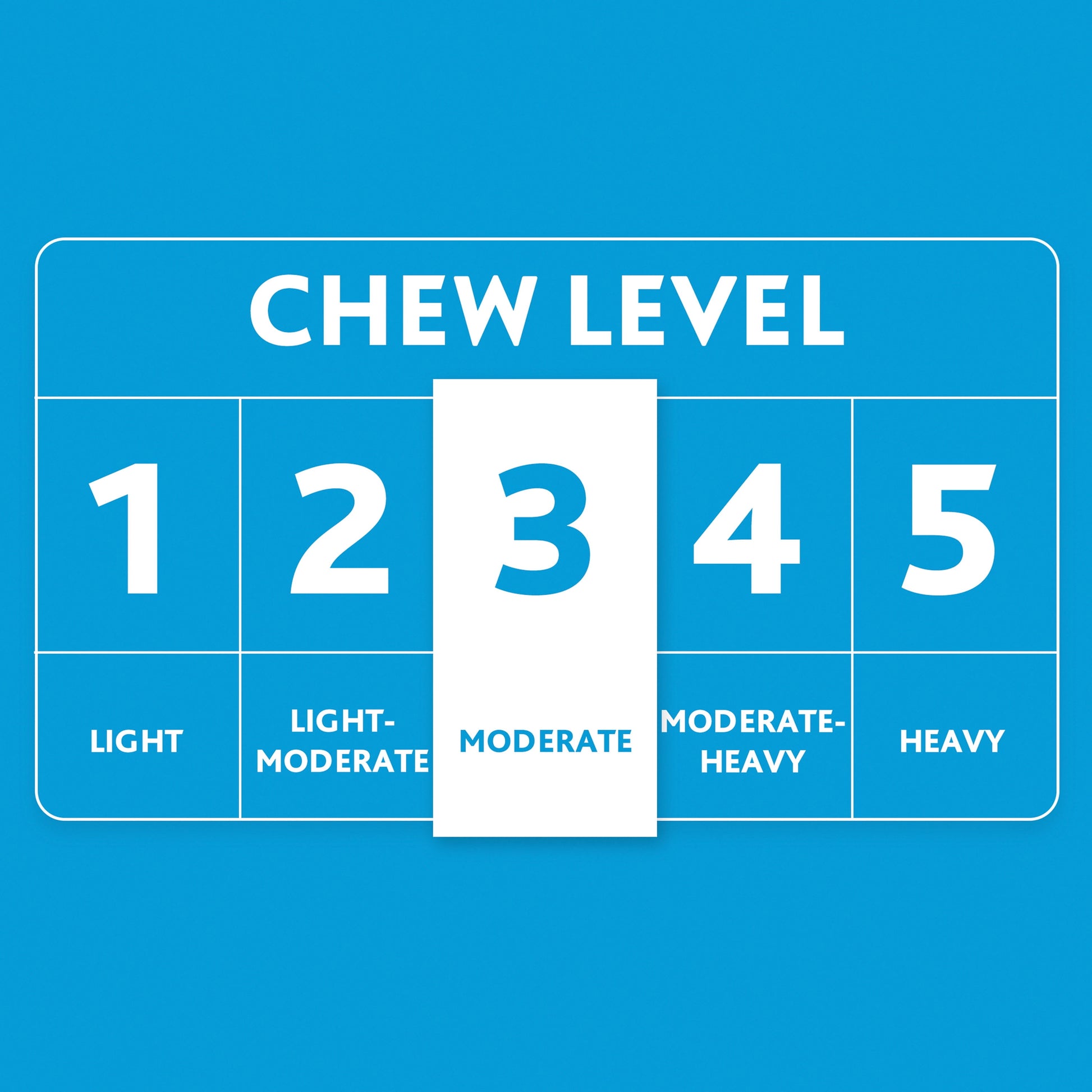 (3 Pack)  Fetch Buddy Spiky Blue Bone Dog Toy, Chew Level 3