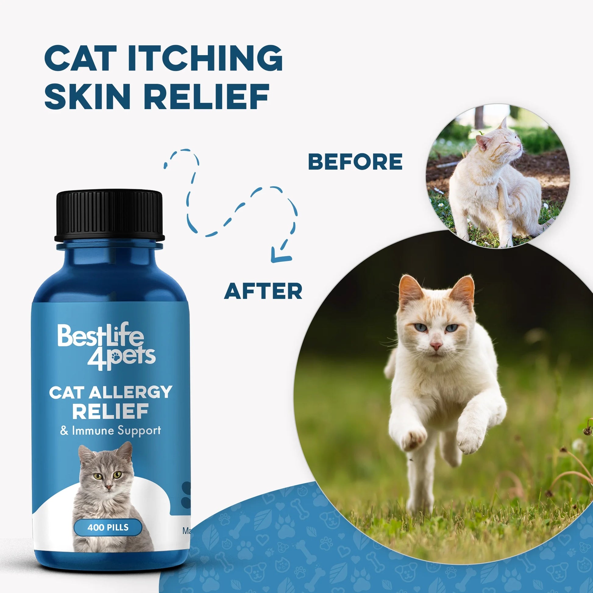 Cat Allergy Relief & Immune Support - Natural Relief for Seasonal Allergies, Itching & Respiratory Infections