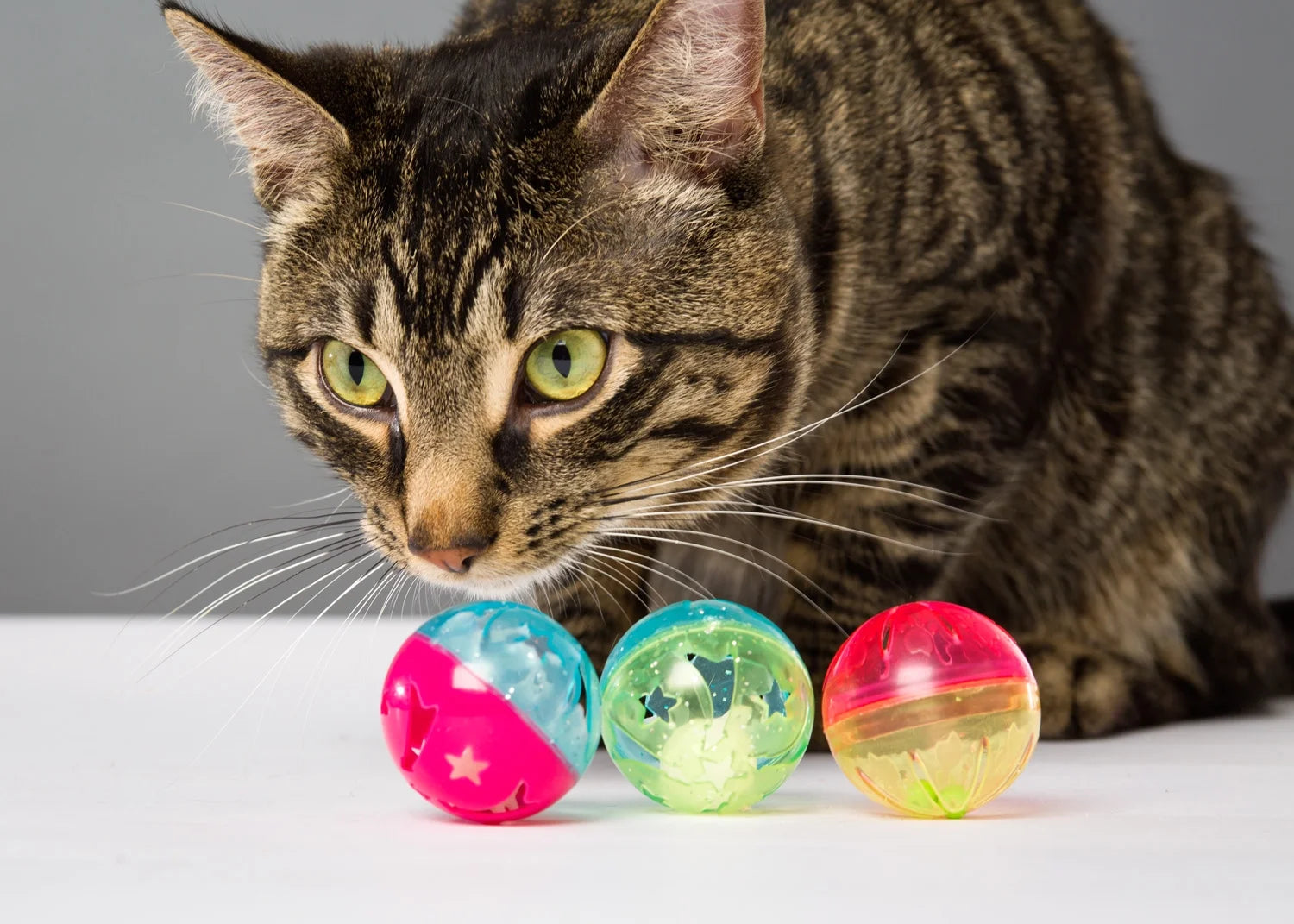 Bizzy Balls Cat Toy - Single Unit