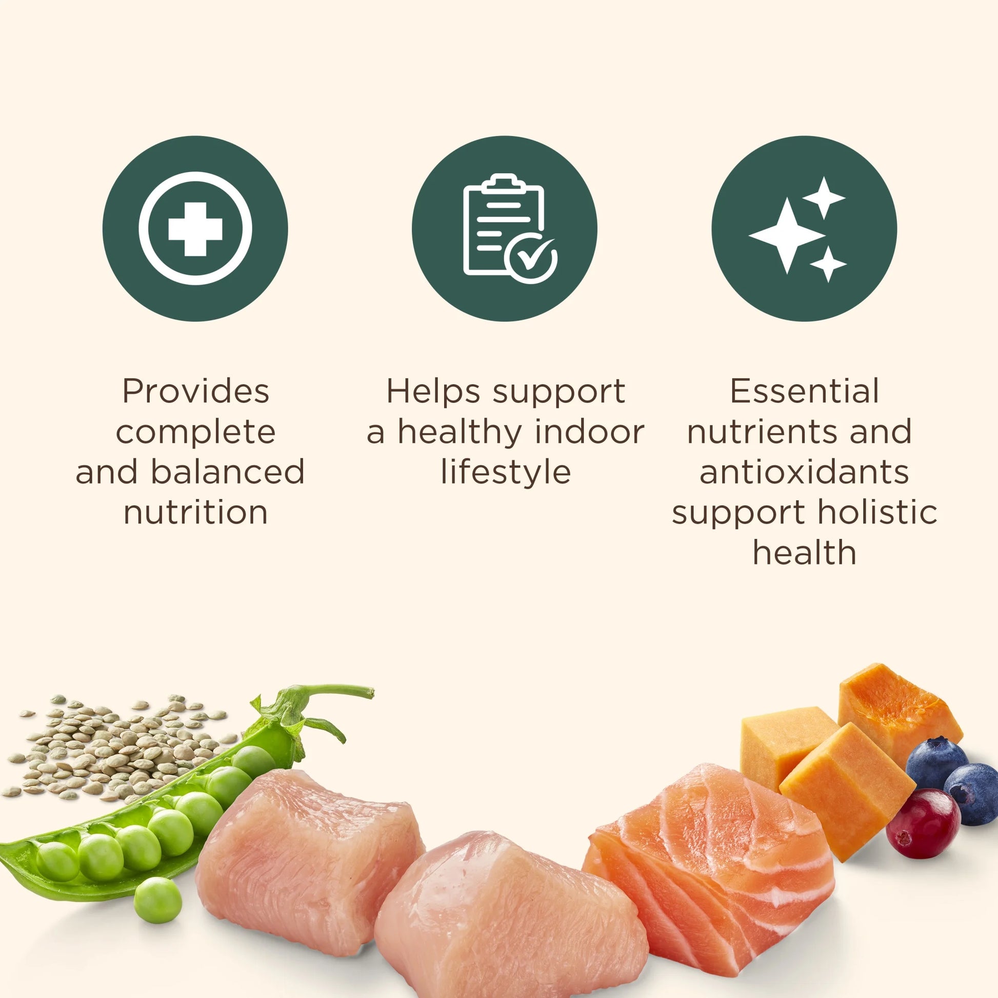 Indoor Complete Dry Cat Food with Chicken, Lentils, and Salmon Recipe - 14 lb Bag by Rachael Ray