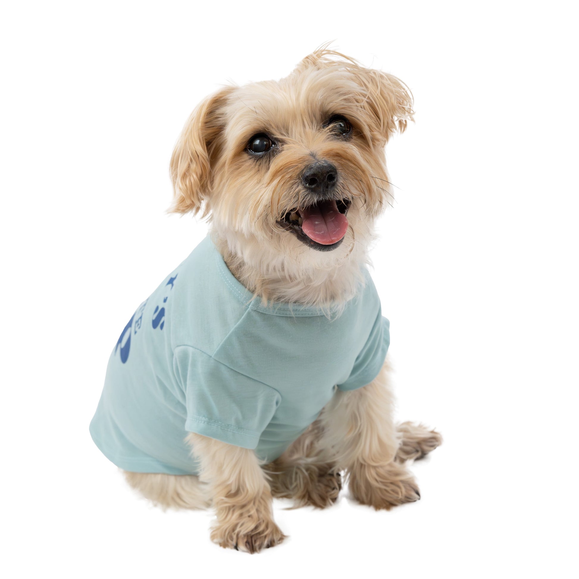 Women's Preferred Dog T-Shirt, Blue, Small