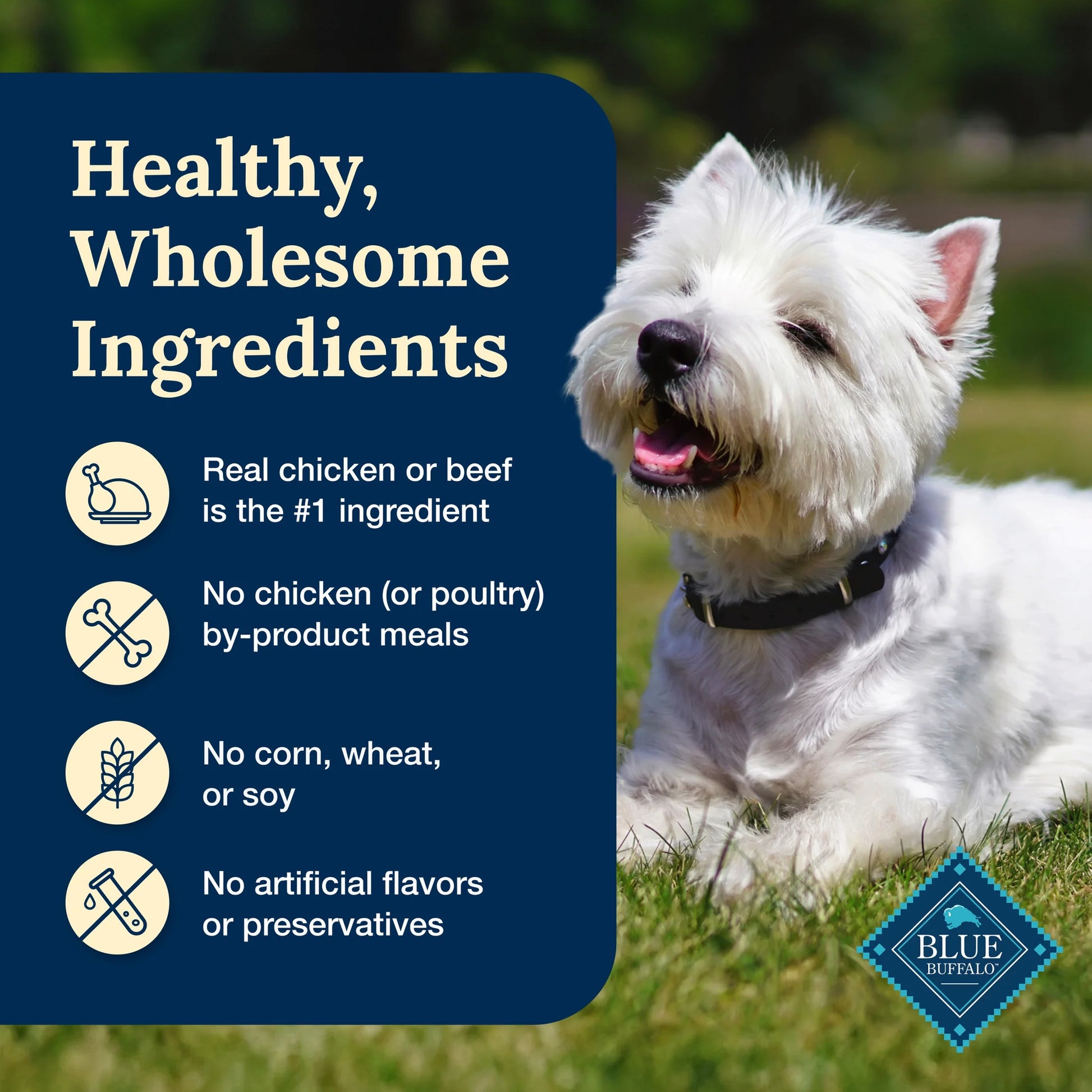 Delectables Natural Wet Dog Food Variety Pack, Chicken and Beef, 3 oz. (12 Count)