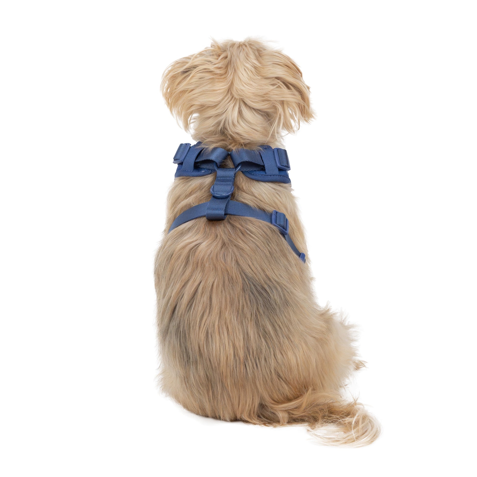 Adjustable Dog Harness for Space Adventures, Blue, Small, Made of Polyester and Spandex