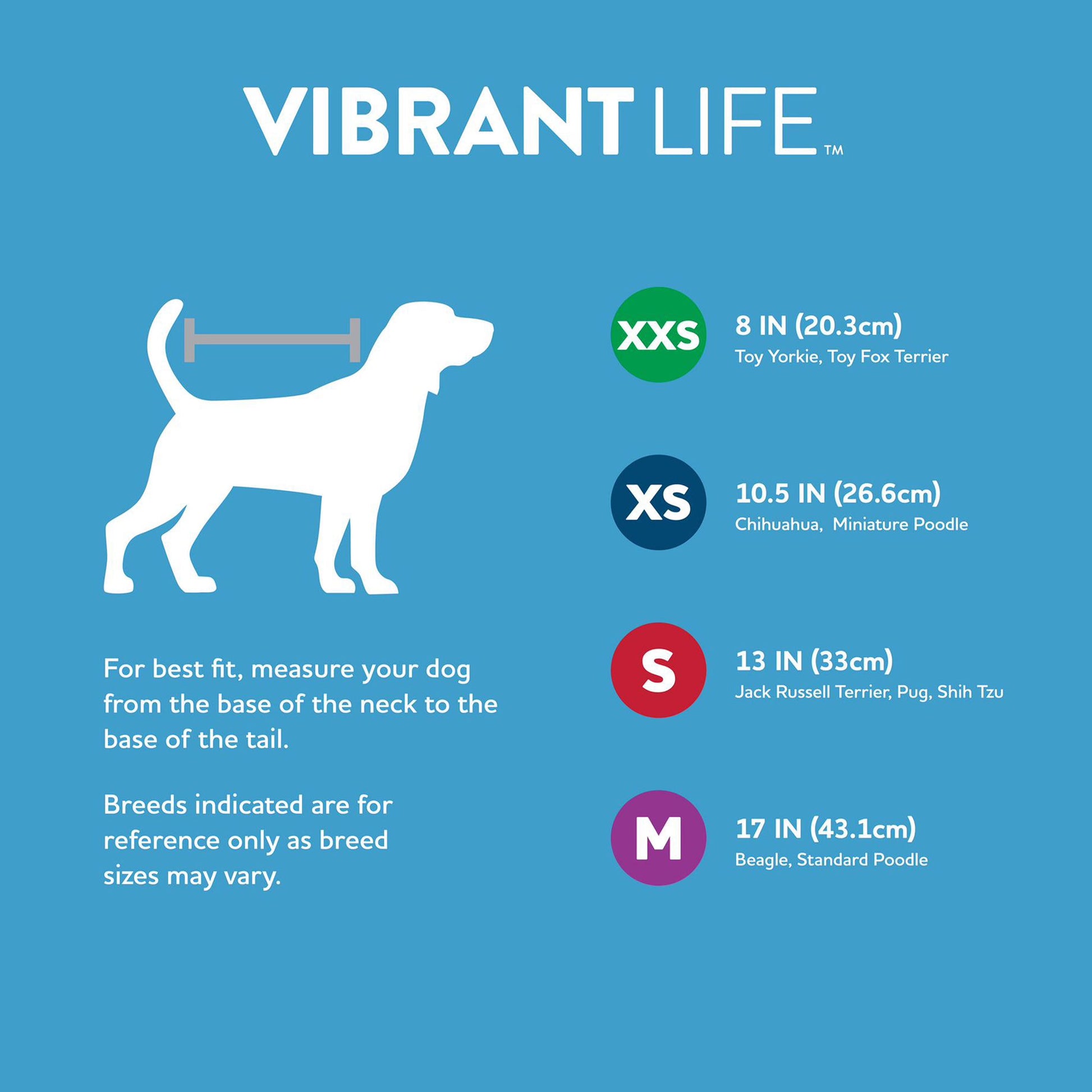 Women's Preferred Dog T-Shirt, Blue, Small