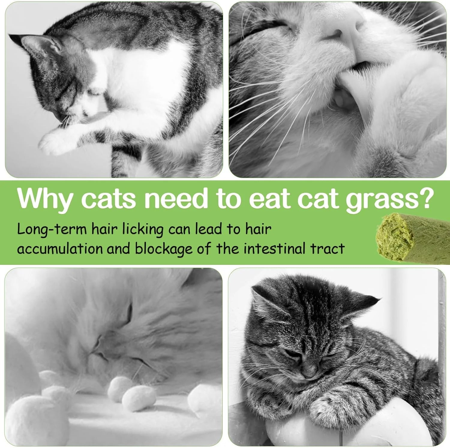 50G Cat Grass Teething Stick, Freezed Drying Cat Grass Sticks Snacks for Cats, Edible Cat Treats for Teeth Cleaning and Hairball Removal