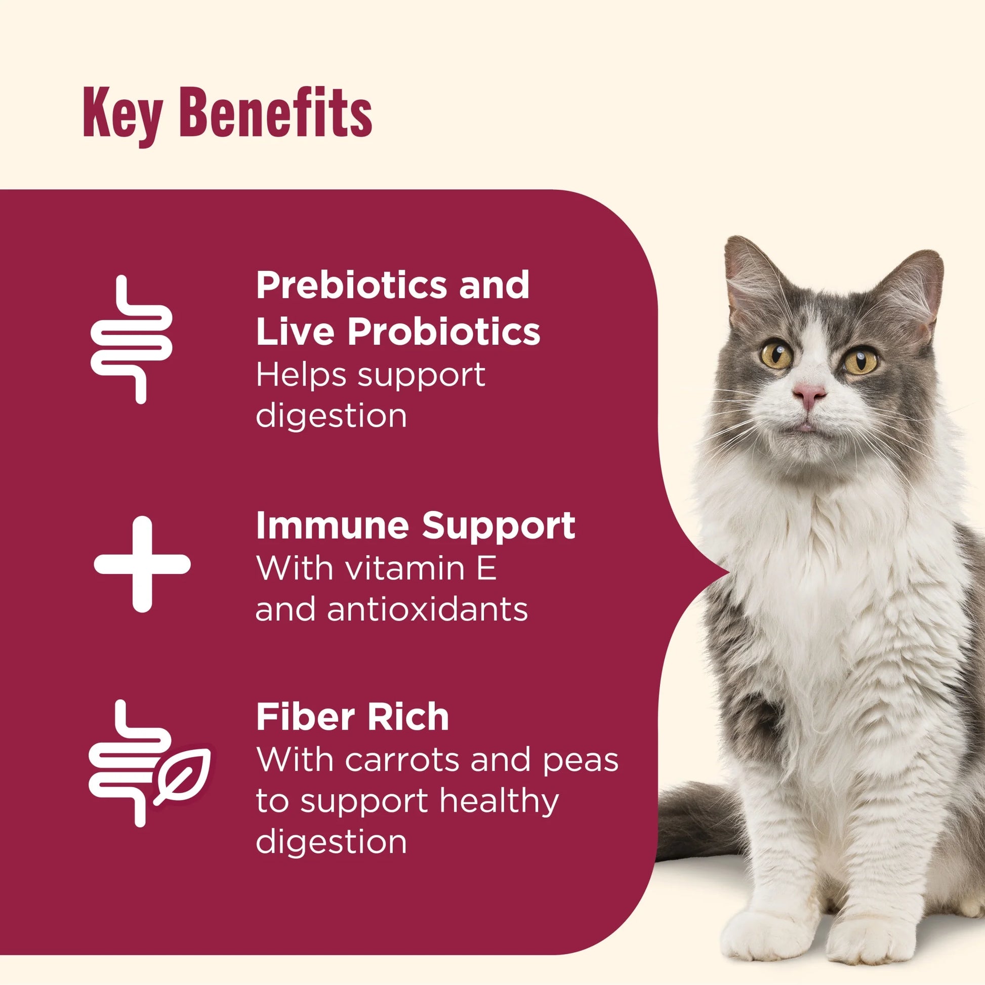 Everyday Digestion Chicken, Brown Rice, and Salmon Recipe with Vegetables Dry Cat Food, 13 lb Bag