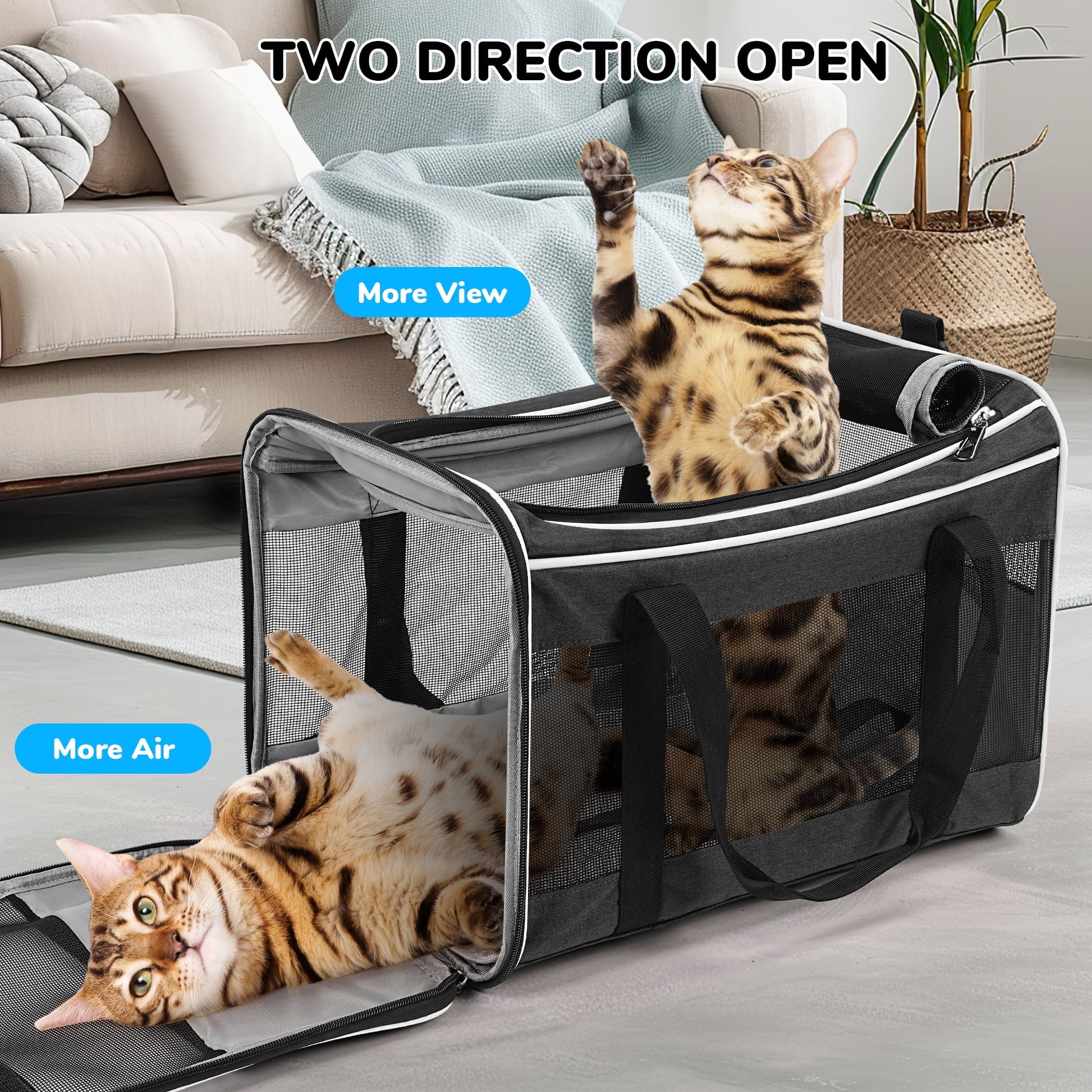 Pet Carrier with Wheels for Small to Medium Dogs and Cats - Ideal for Travel, Flight, Camping, and Outdoor Use