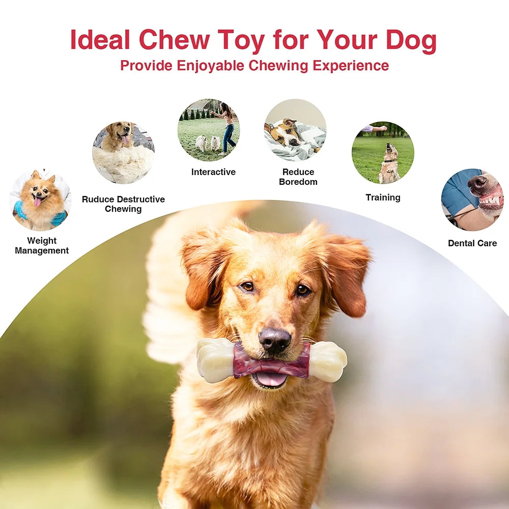 Durable Dog Toys for Aggressive Chewers - Large Breed Chew Bones and Toothbrush Toys for Medium to Large Dogs
