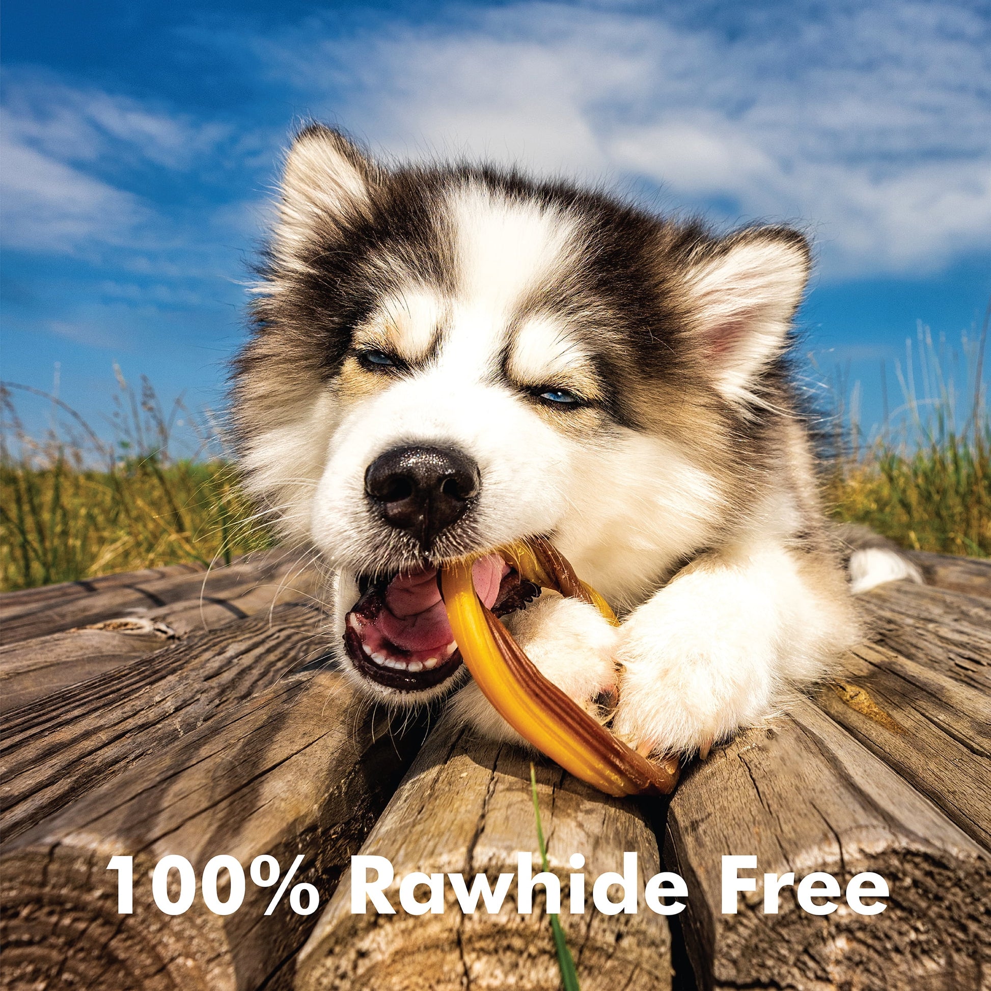 ® Puppy Teething Rings - Peanut Butter Flavor, 10 Treats, 12 oz, Dried Chew Treats for Dogs