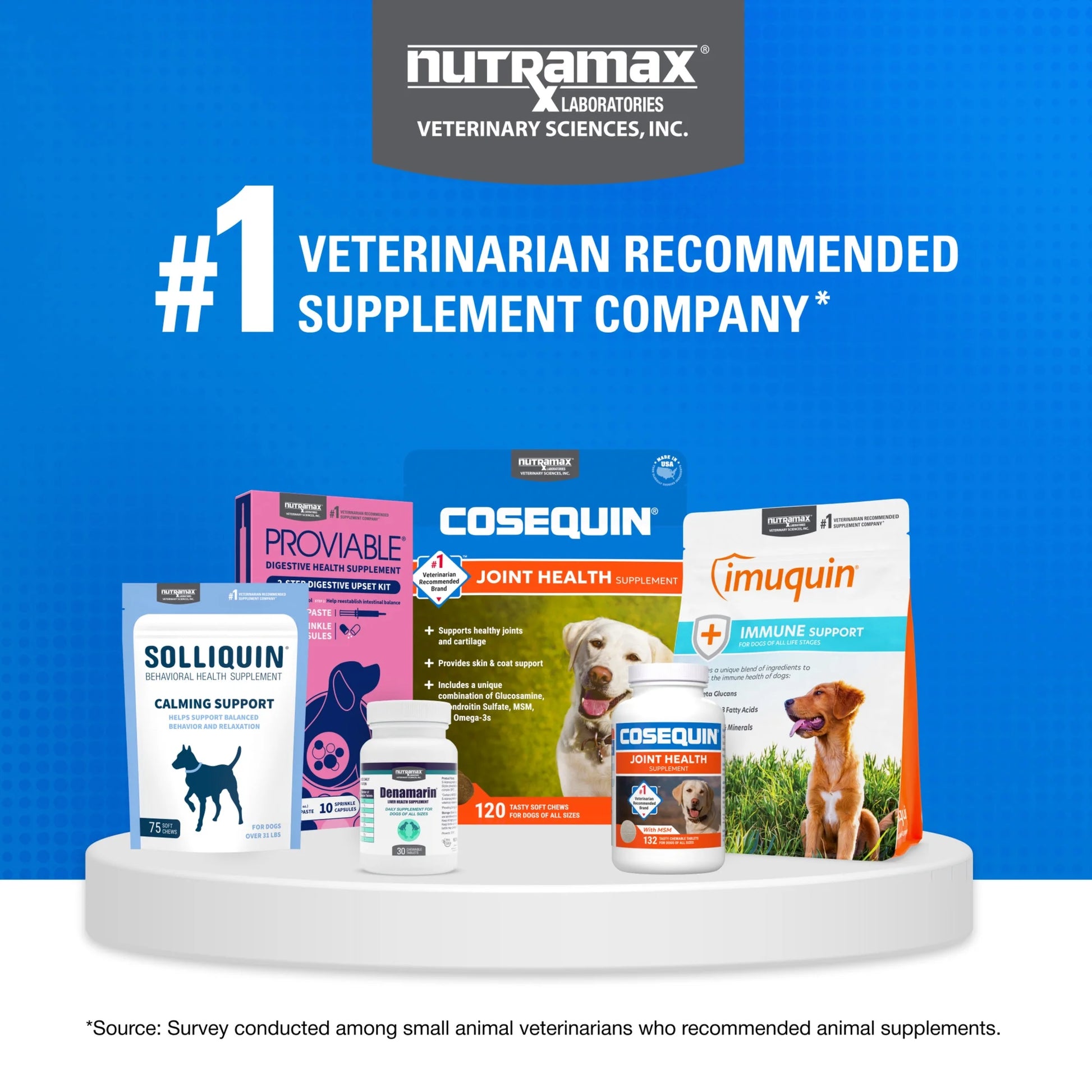 Nutramax Cosequin Senior Joint Health Supplement for Senior Dogs, 120 Soft Chews