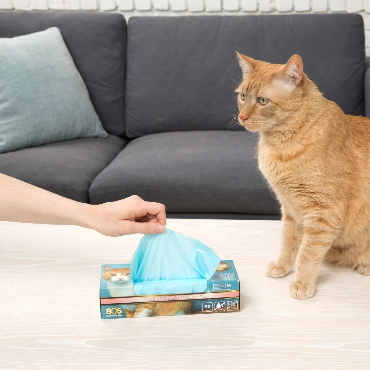 Odor-Sealing Cat Waste Disposal Bags - 90 Scent-Free Bags for Pet Waste and Litter Management