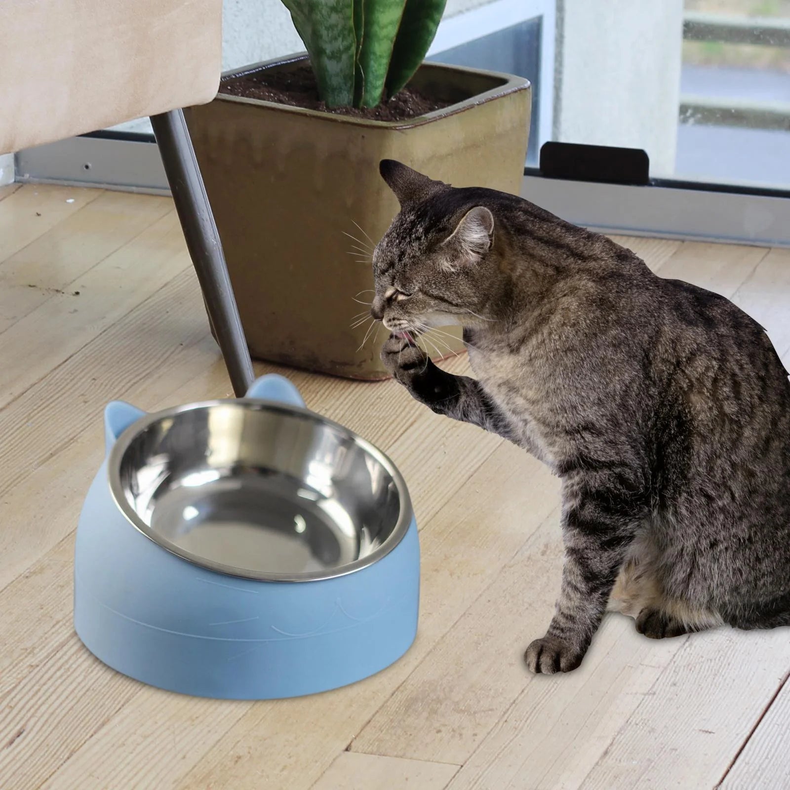 Pet Feeder Raised Cat Bowl Food Feeder Neck Protective Bowl Dog Kitten Food Dish Pet Supplies anti Slip Metal Blue