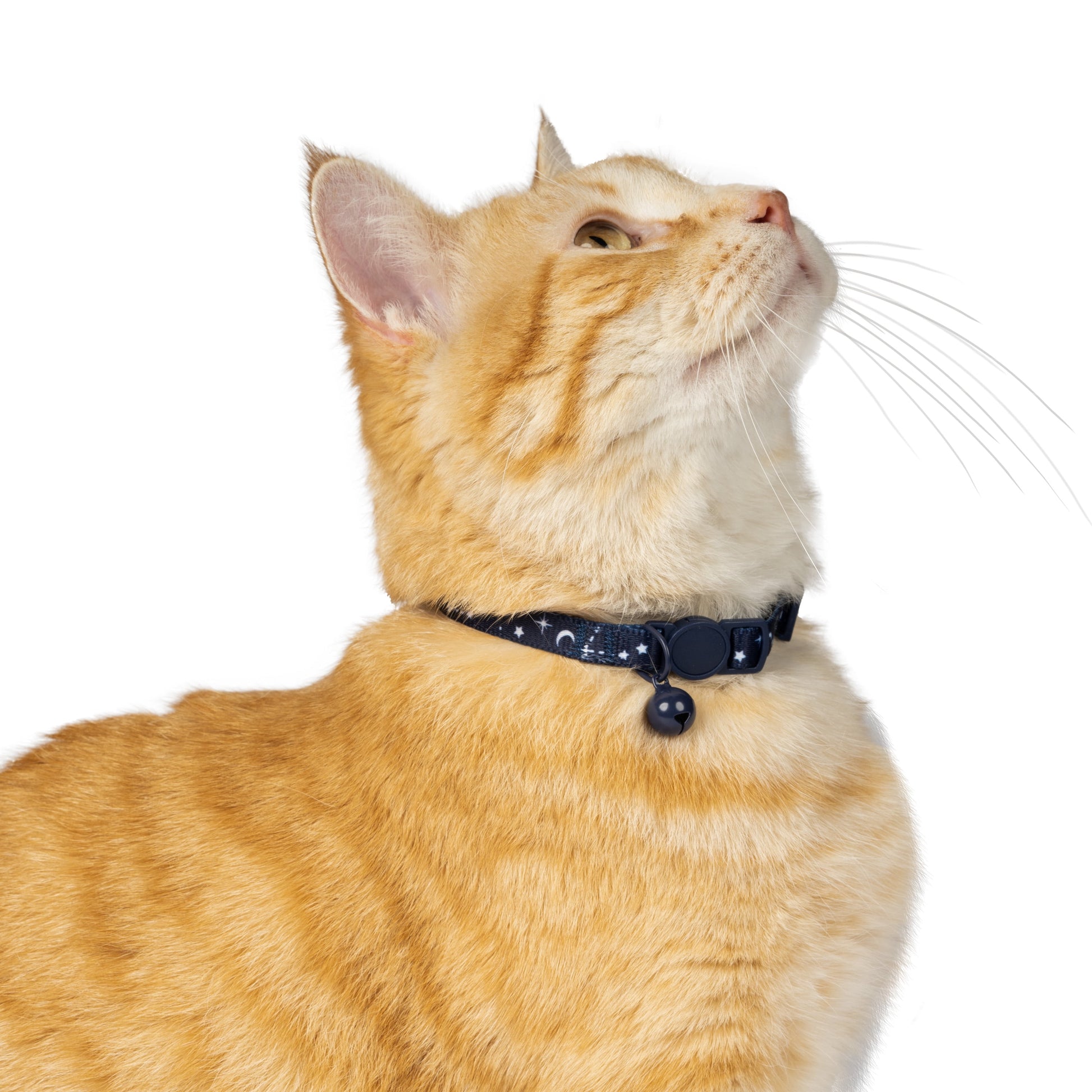 Celestial Print Breakaway Cat Collar in Blue, One Size Fits Most