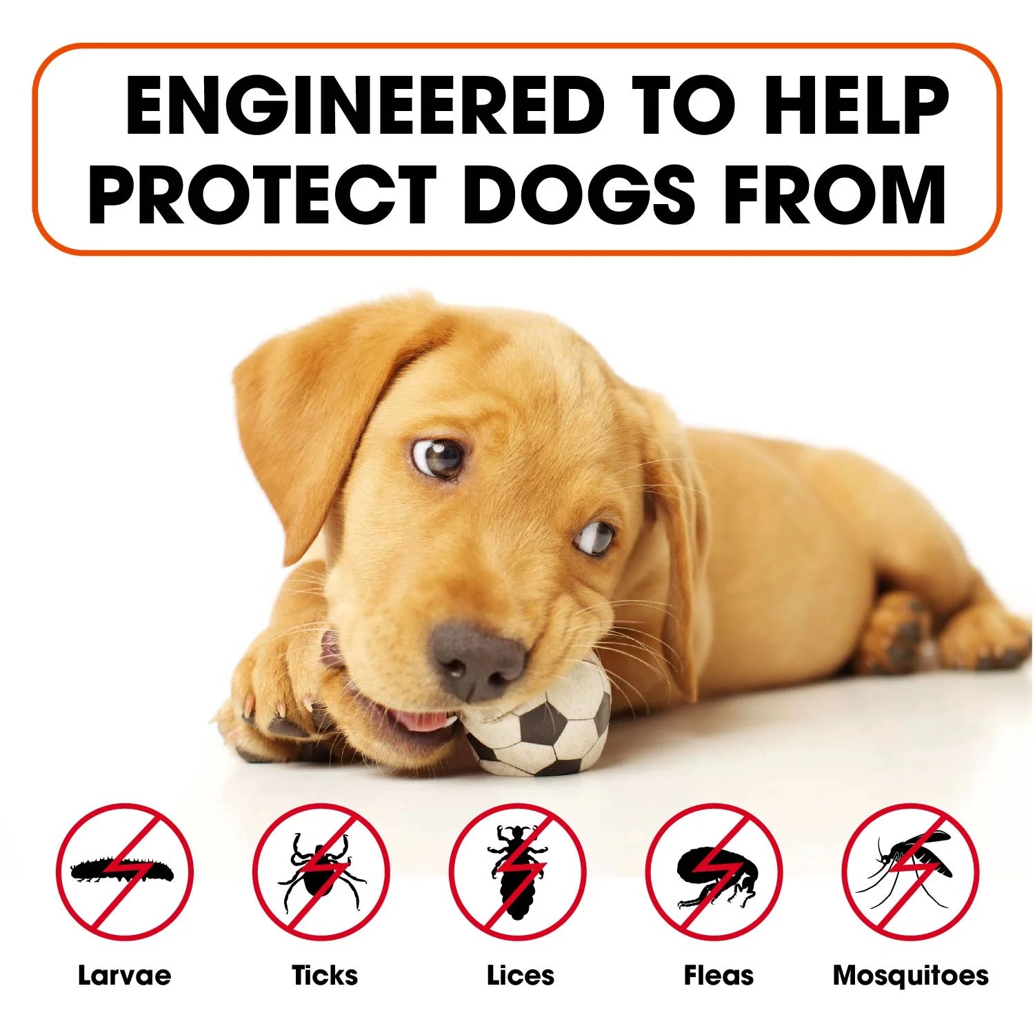 12-Month Adjustable Natural Herbal Dog Collar - 25” for All Breeds - Durable Essential Oils Protection - Waterproof and Comfortable Design