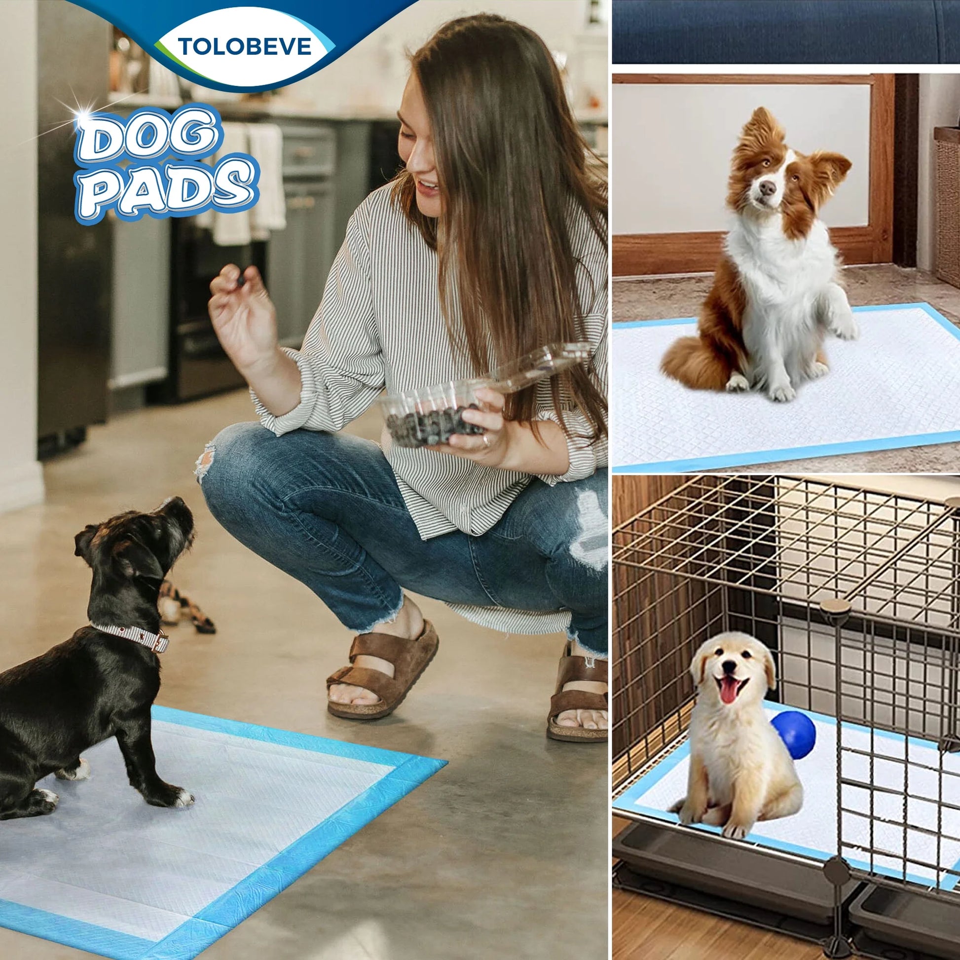 Training Pads, Dog & Puppy Pads,S, 13X18 In,100 Count,Disposable Dog Pee Pads