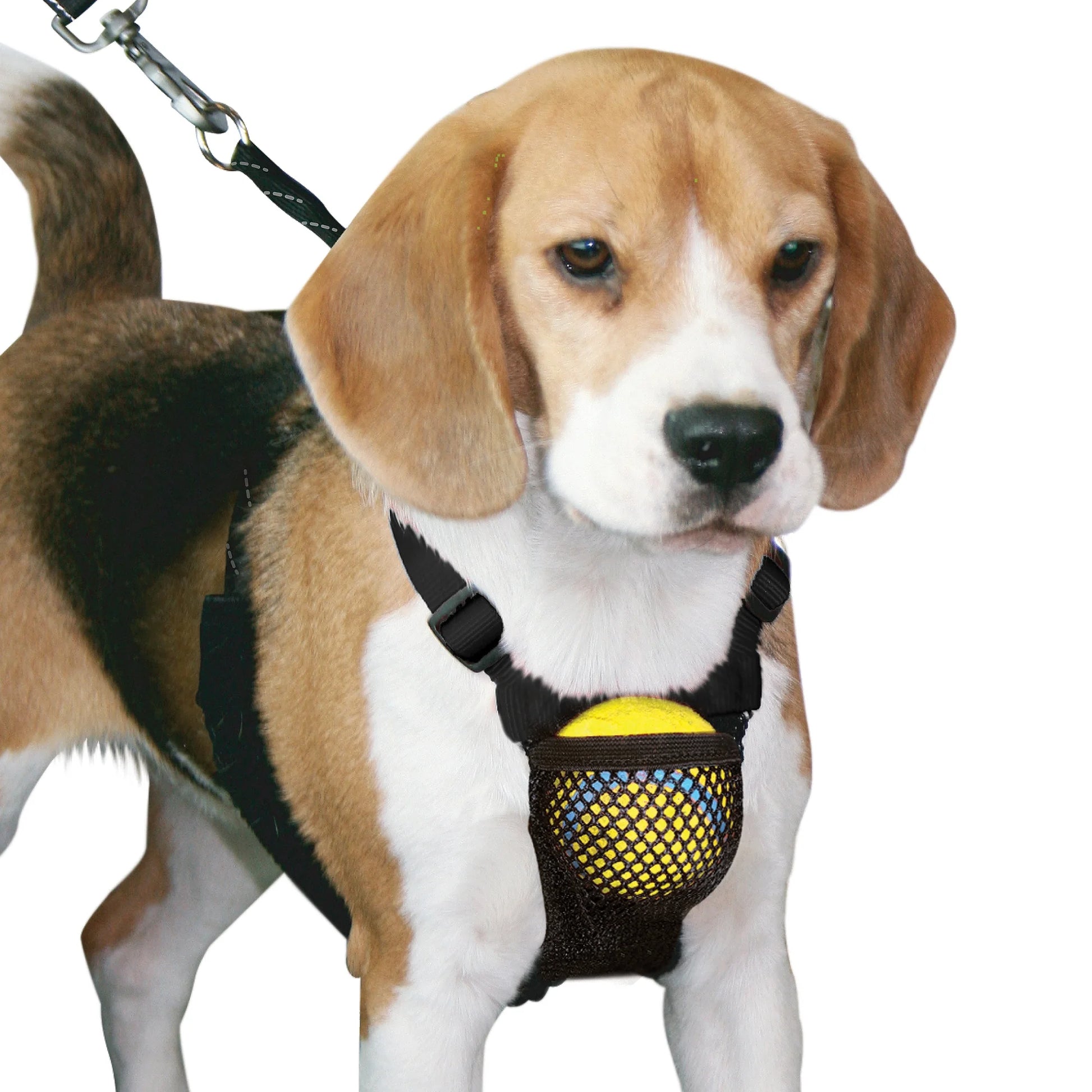 Yuppie Puppy Black Nylon Mesh Non-Pulling Dog Harness, Medium (14" to 20" Chest Size)