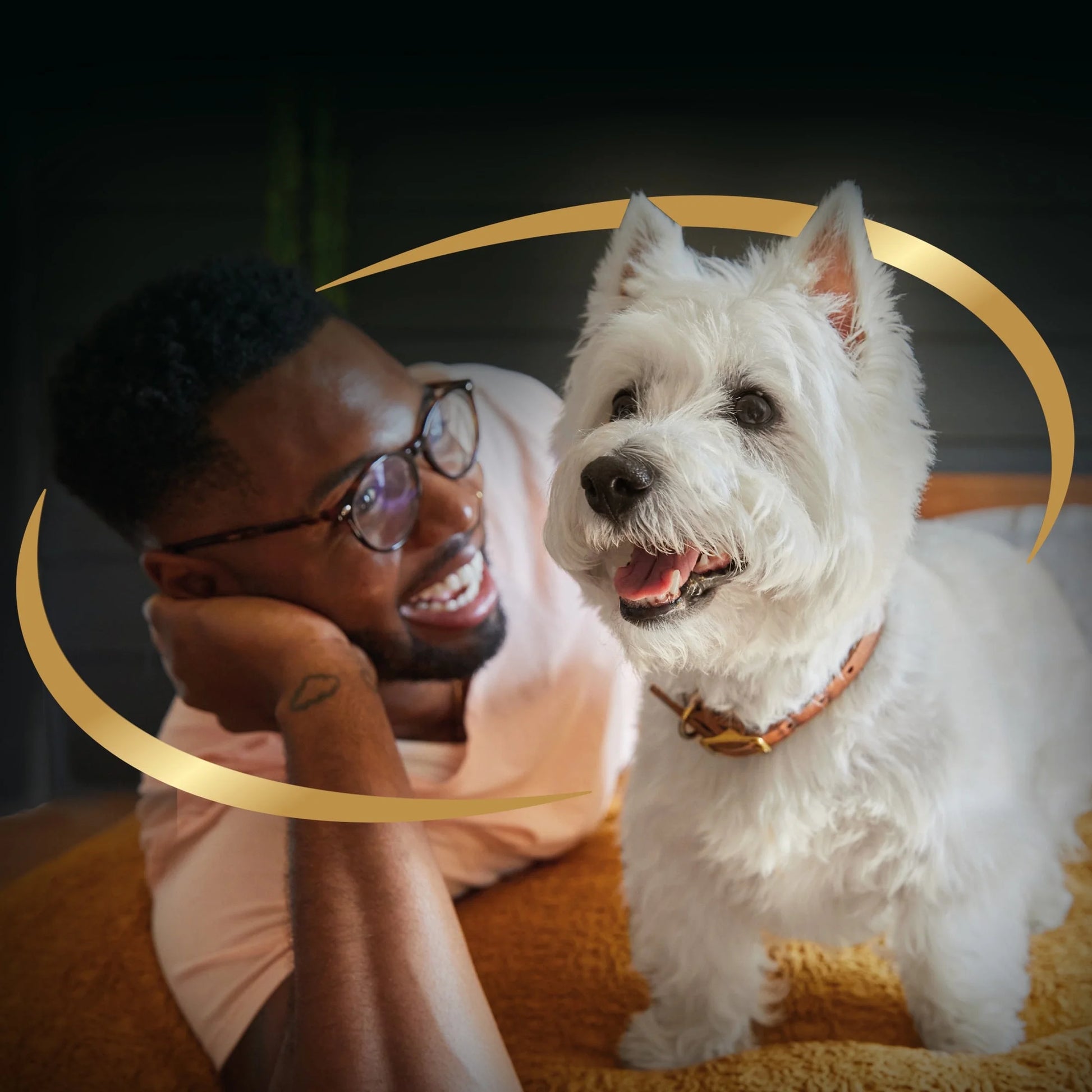 Classic Grilled Chicken Wet Dog Food in Sauce, 3.5 Oz Easy Peel Tray