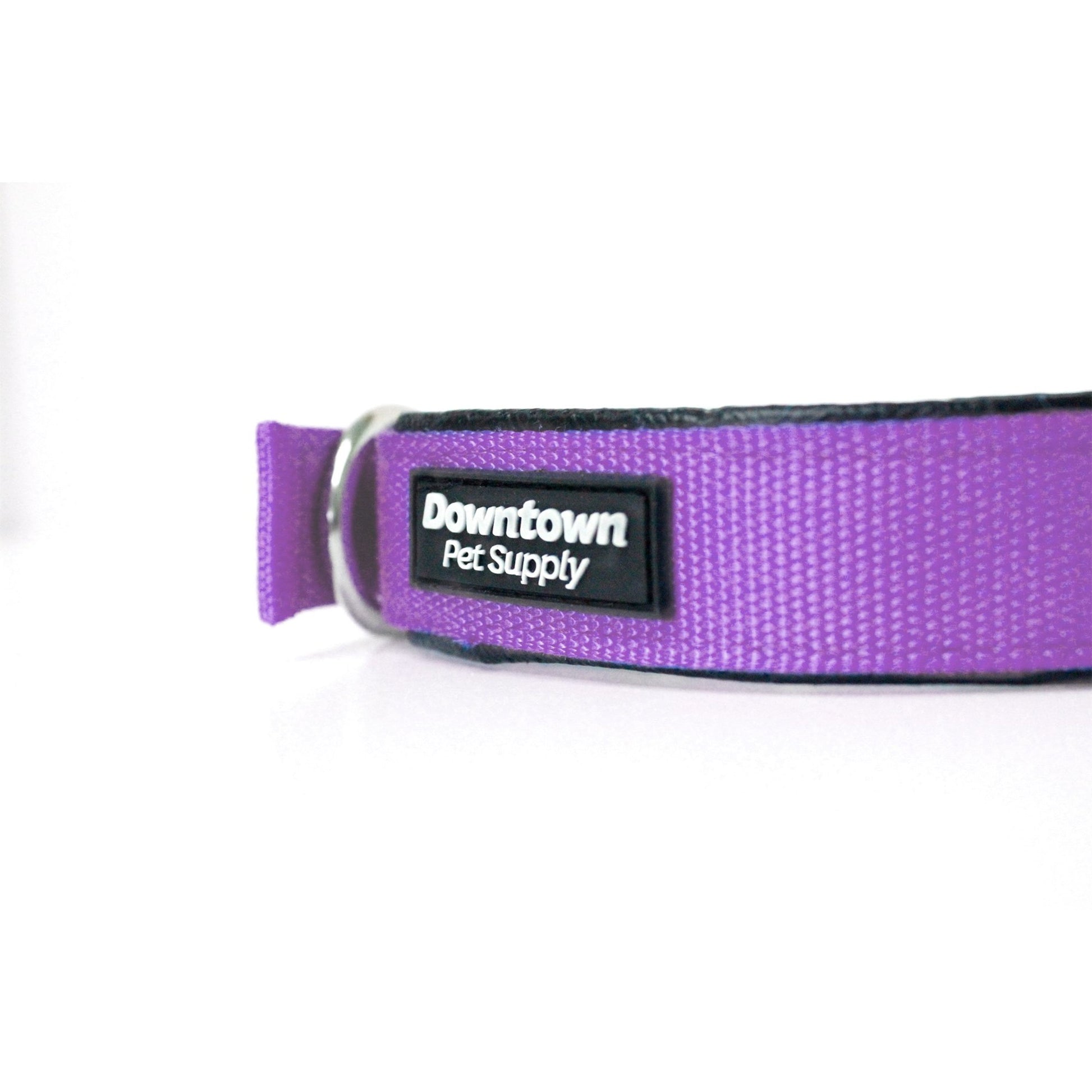 Padded Dog Collar for Large Dogs - Purple, Size L