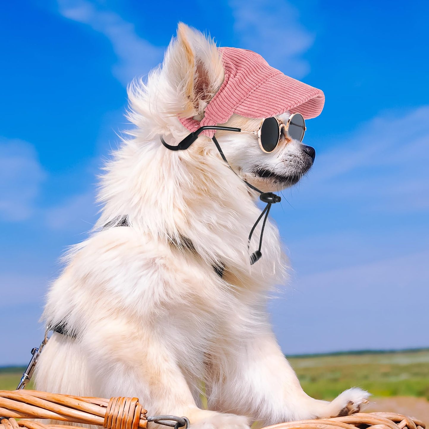 Jadive Small Dog Sun Hat with Ear Holes, Dog Cat Sunglasses with Anti-Slip Silicone Rope Baseball Cap Adjustable Puppy Sunbonnet Headdress Beach Visor Hat for Puppies Summer Outdoor(Pink)