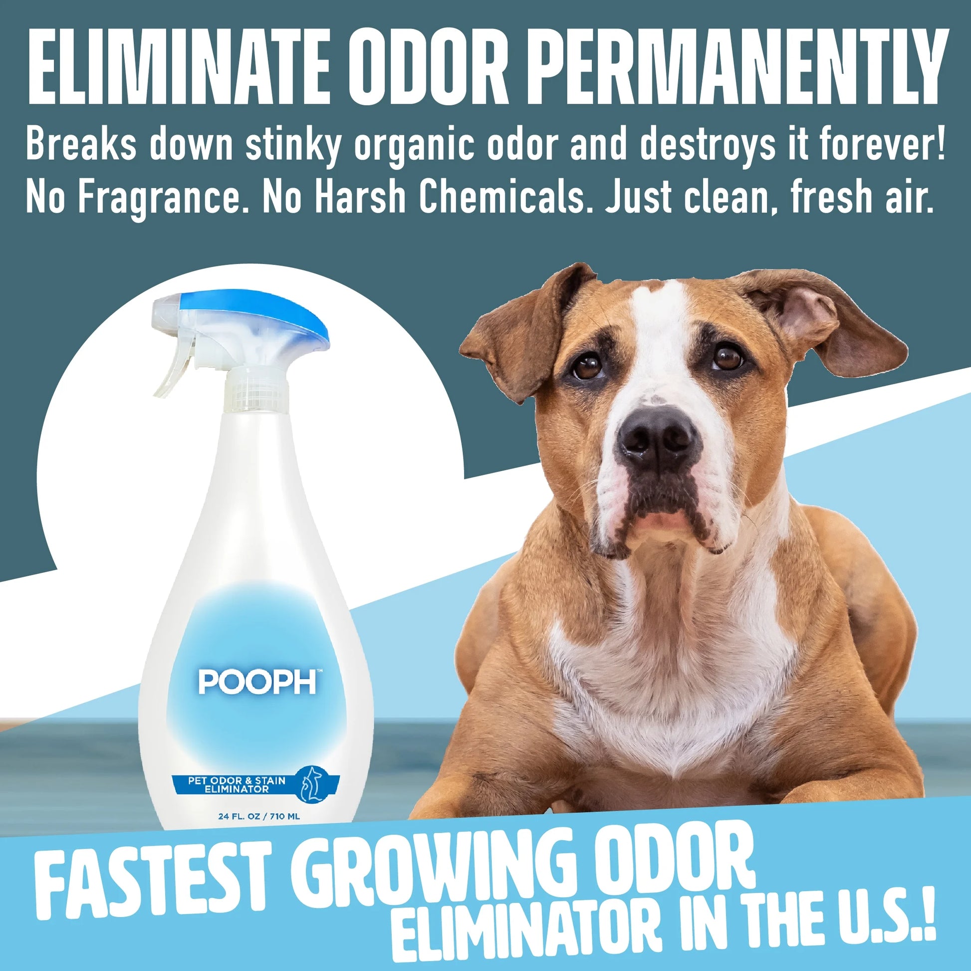 Pet Odor Eliminator Spray, 24 oz, Unscented, Non-Toxic Formula