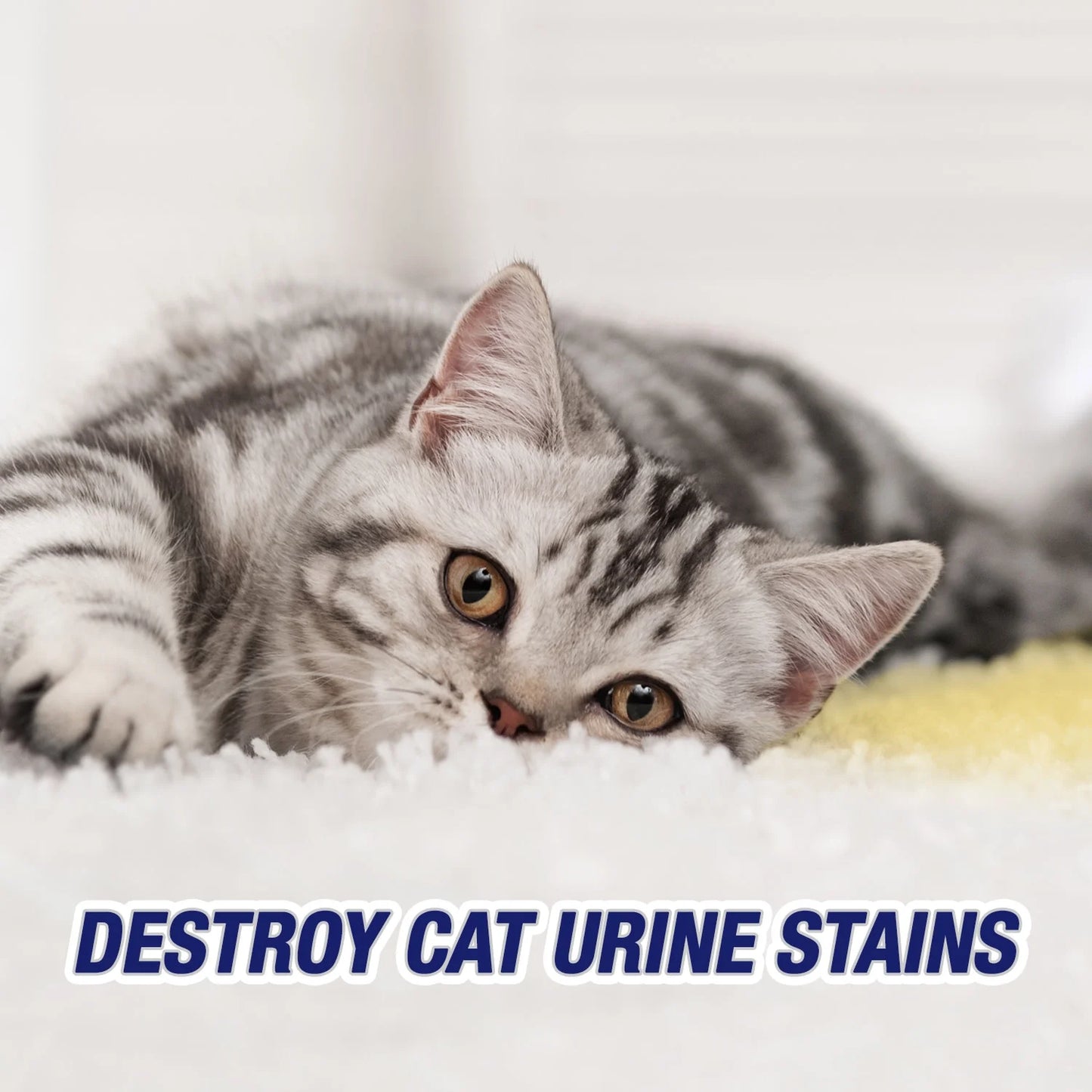 Urine Destroyer Carpet Cleaner and Odor Eliminator Spray, 32 Oz