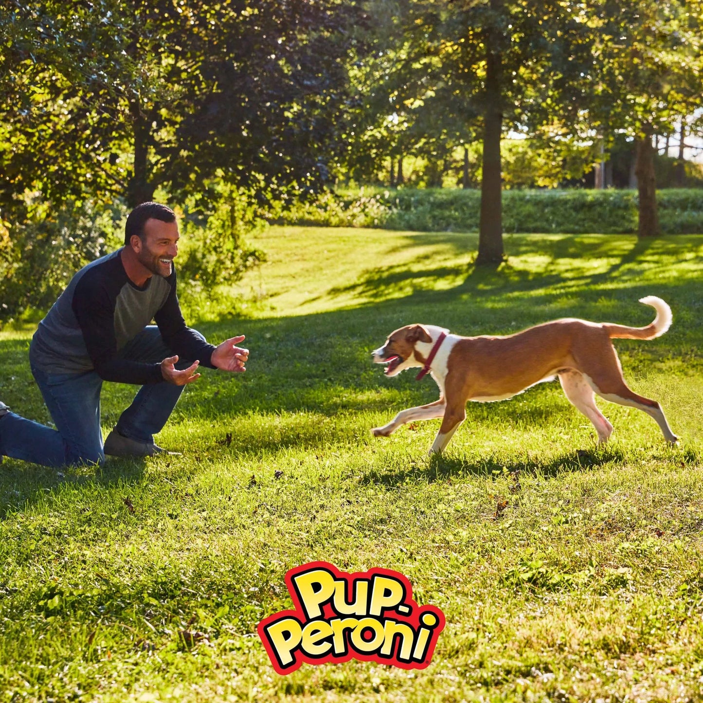 Pup-Peroni Filet Mignon and Bacon Flavor Dog Treats, 5.6 Ounce Bag