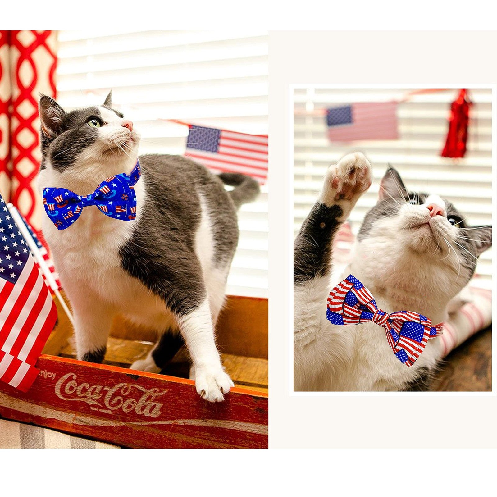 4Th of July Cat Bow Tie Collar with Bell, Independence