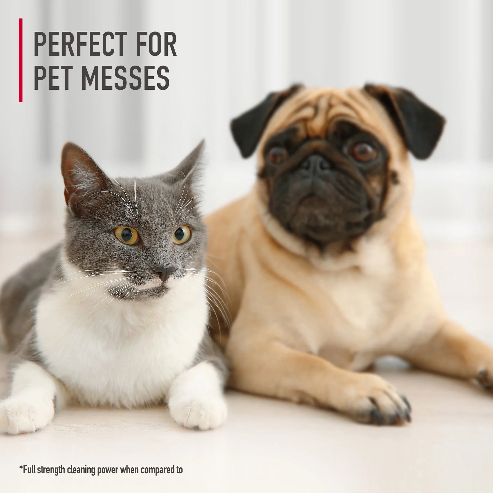 Paws & Claws Portable Pet Stain and Odor Remover, 32 Fl Oz, Model AH30940, Single Count, New