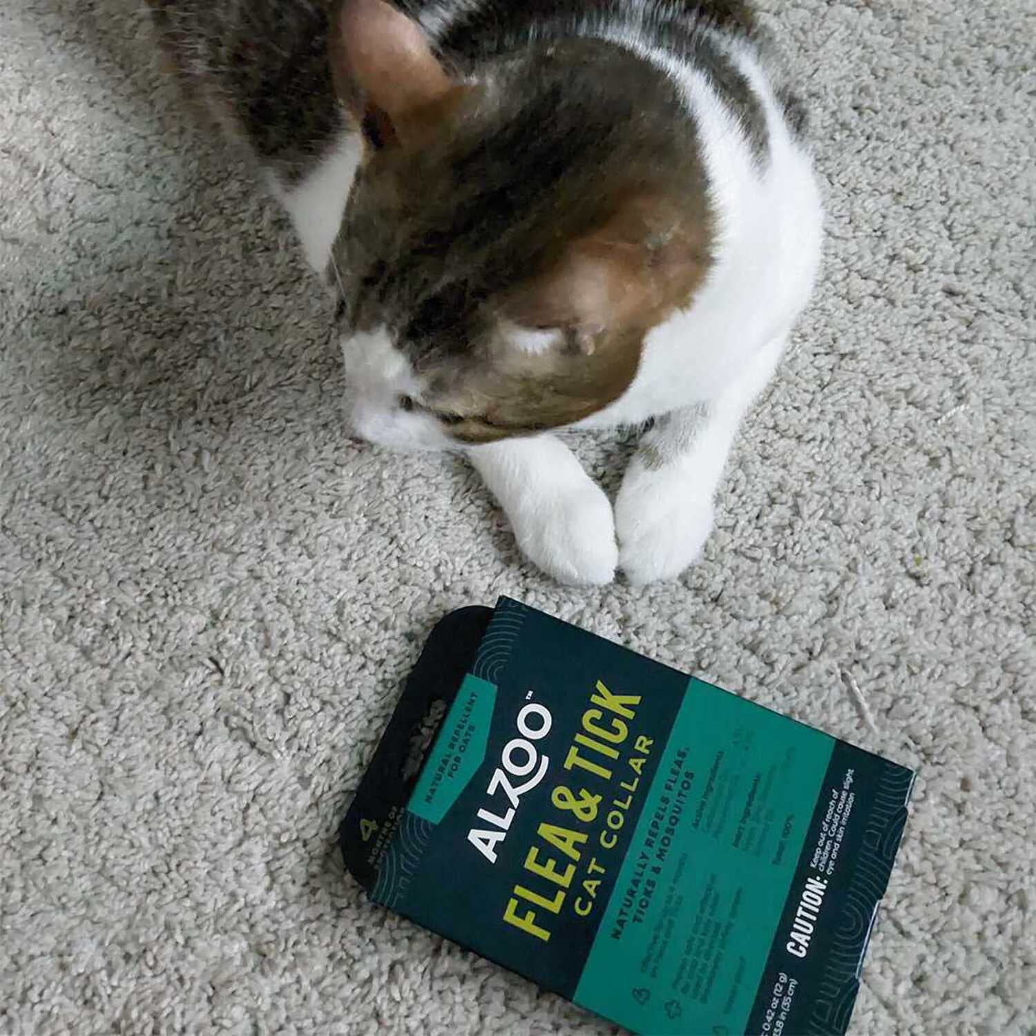 Natural Flea Repellent Collar for Felines