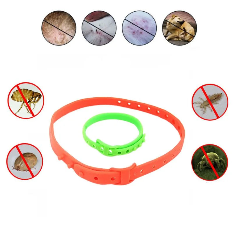Pet Collar for Lice Removal in Cats and Dogs