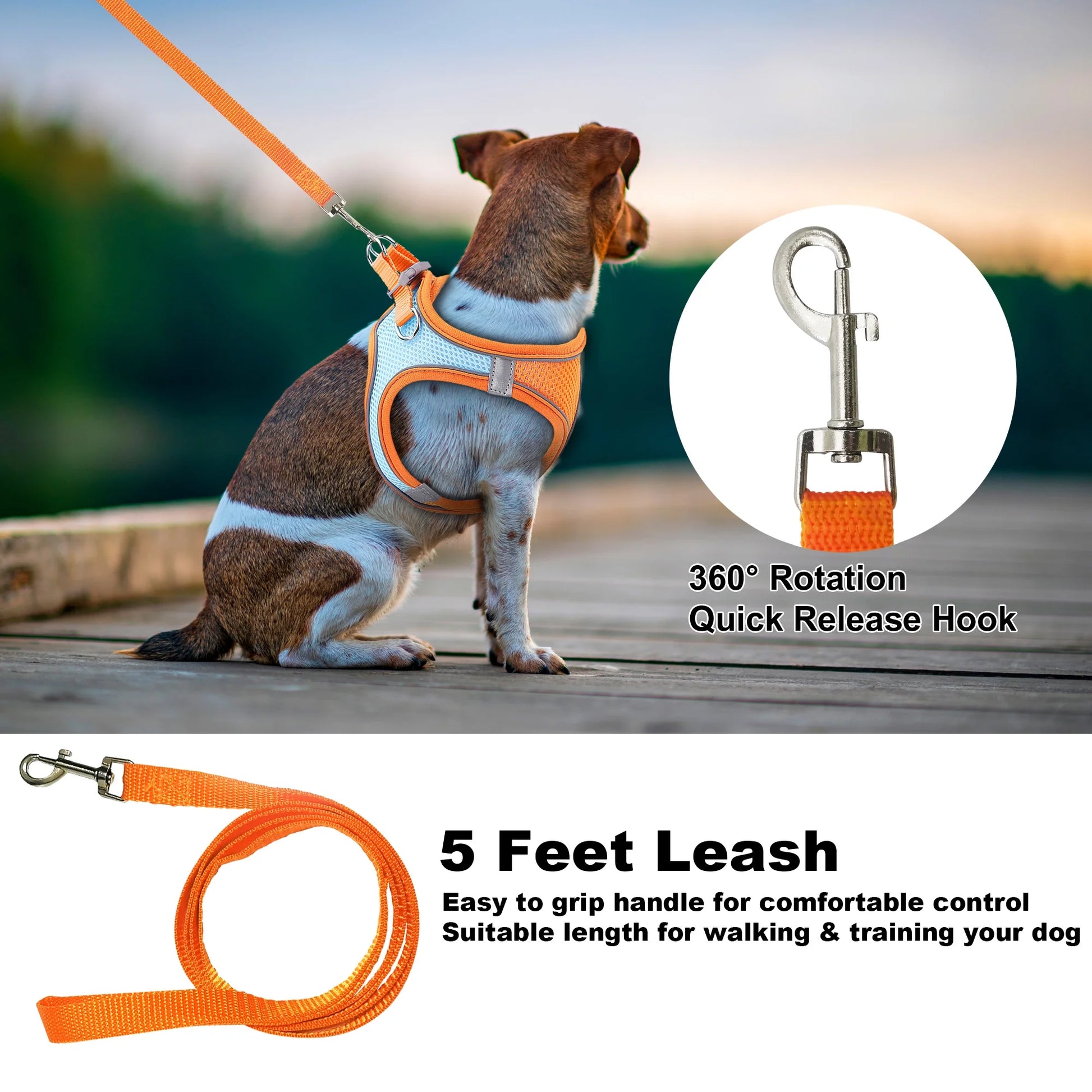 Reflective No-Pull Dog Harness and Leash for Small Dogs and Cats, Size M