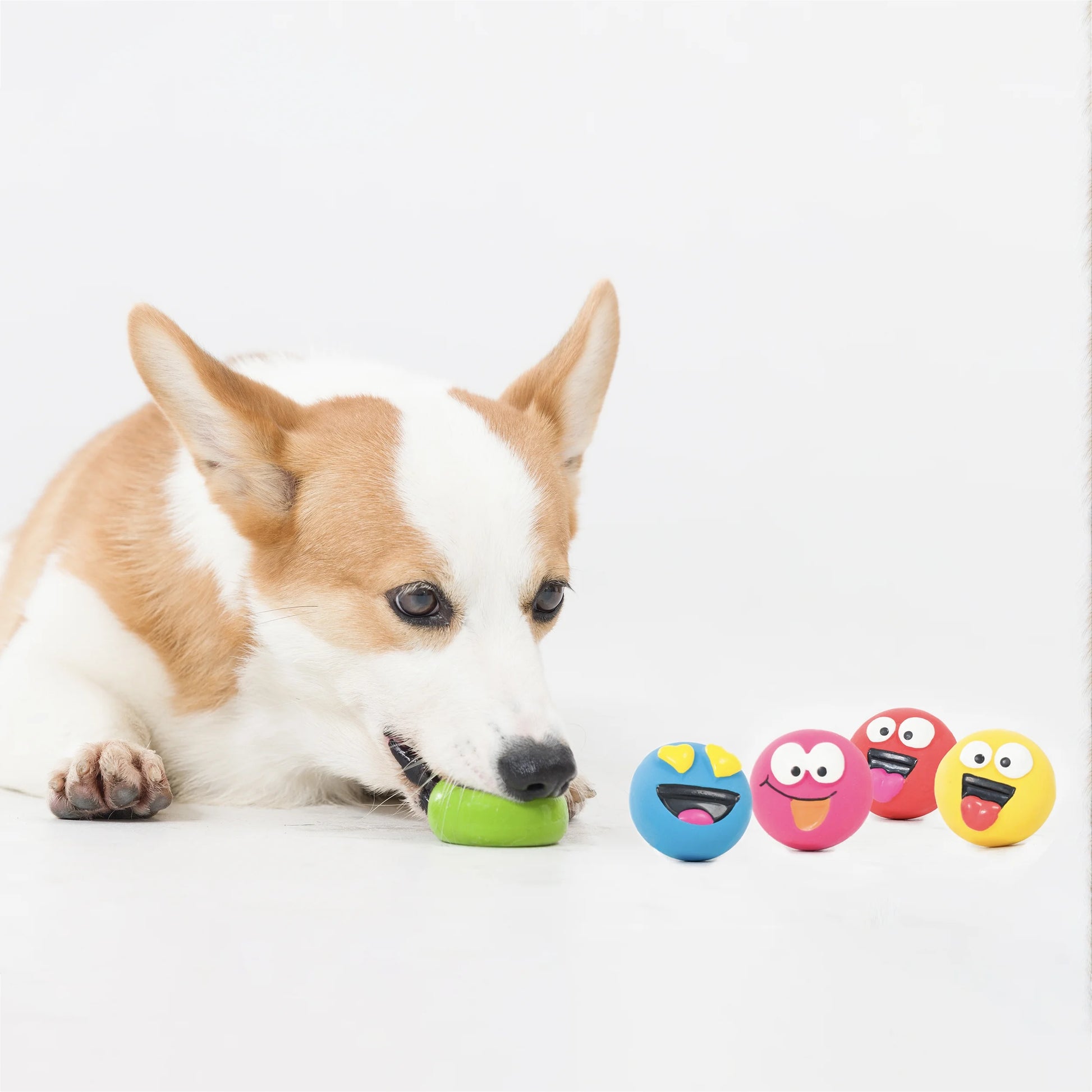 Set of 5 Emoticon Latex Dog Toys