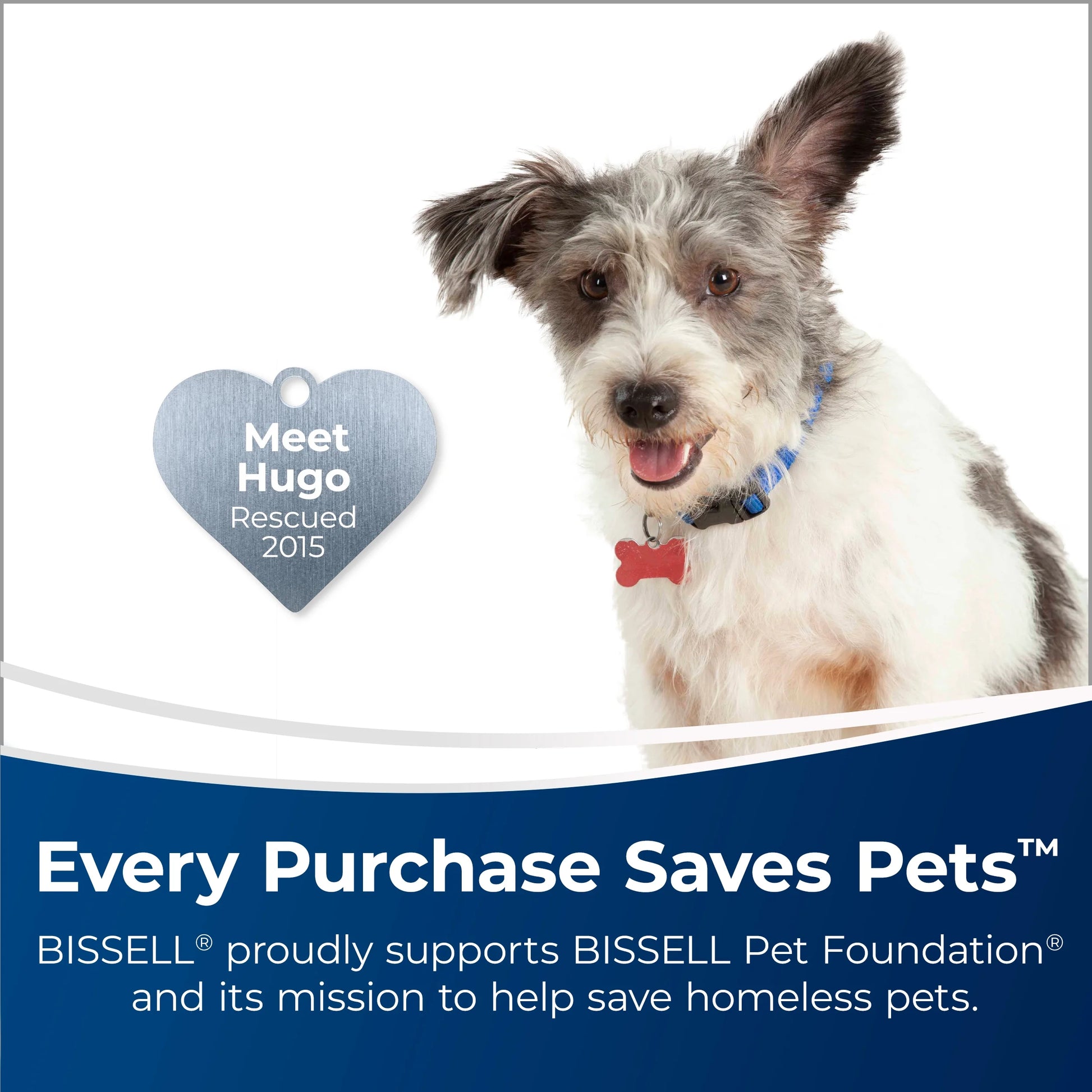 Pet Clean and Natural Multi-Surface Cleaner, 32 Oz.