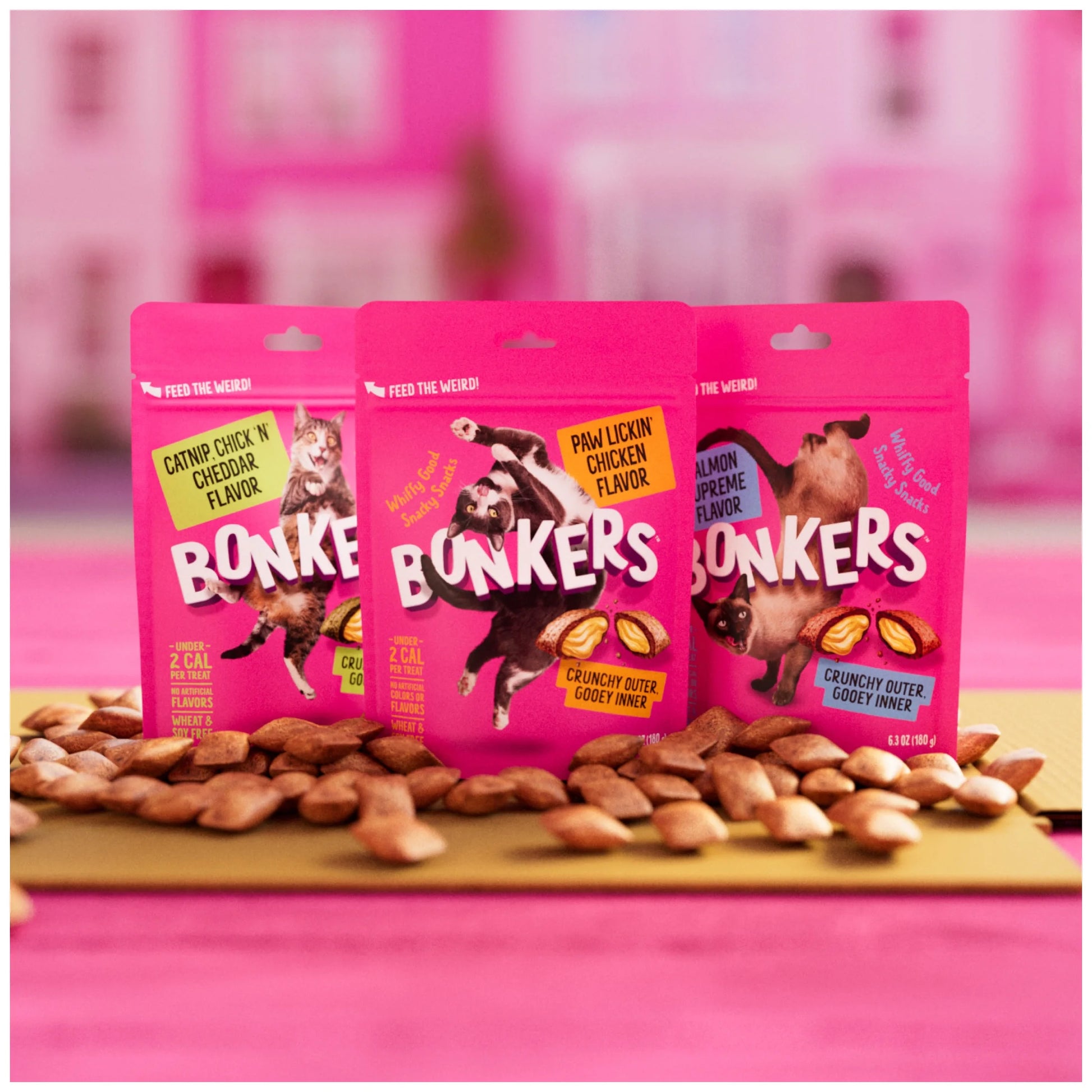 Cat Bites - Catnip & Chick 'N' Cheddar Flavor, Crunchy and Soft Cat Treats, 3 Oz Bag