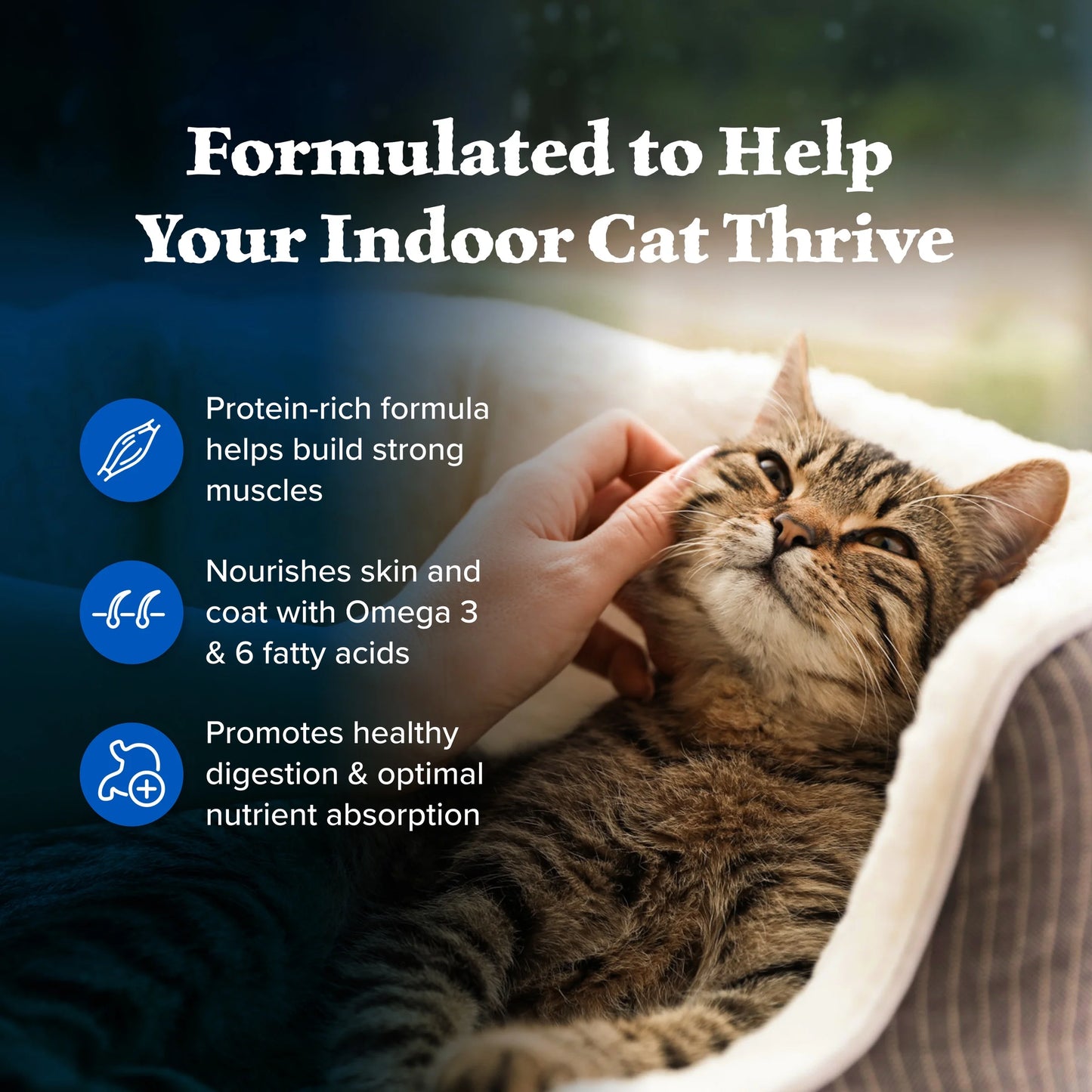 Wilderness Natural High-Protein, Grain-Free Dry Cat Food, Chicken, 4-Lb. Bag