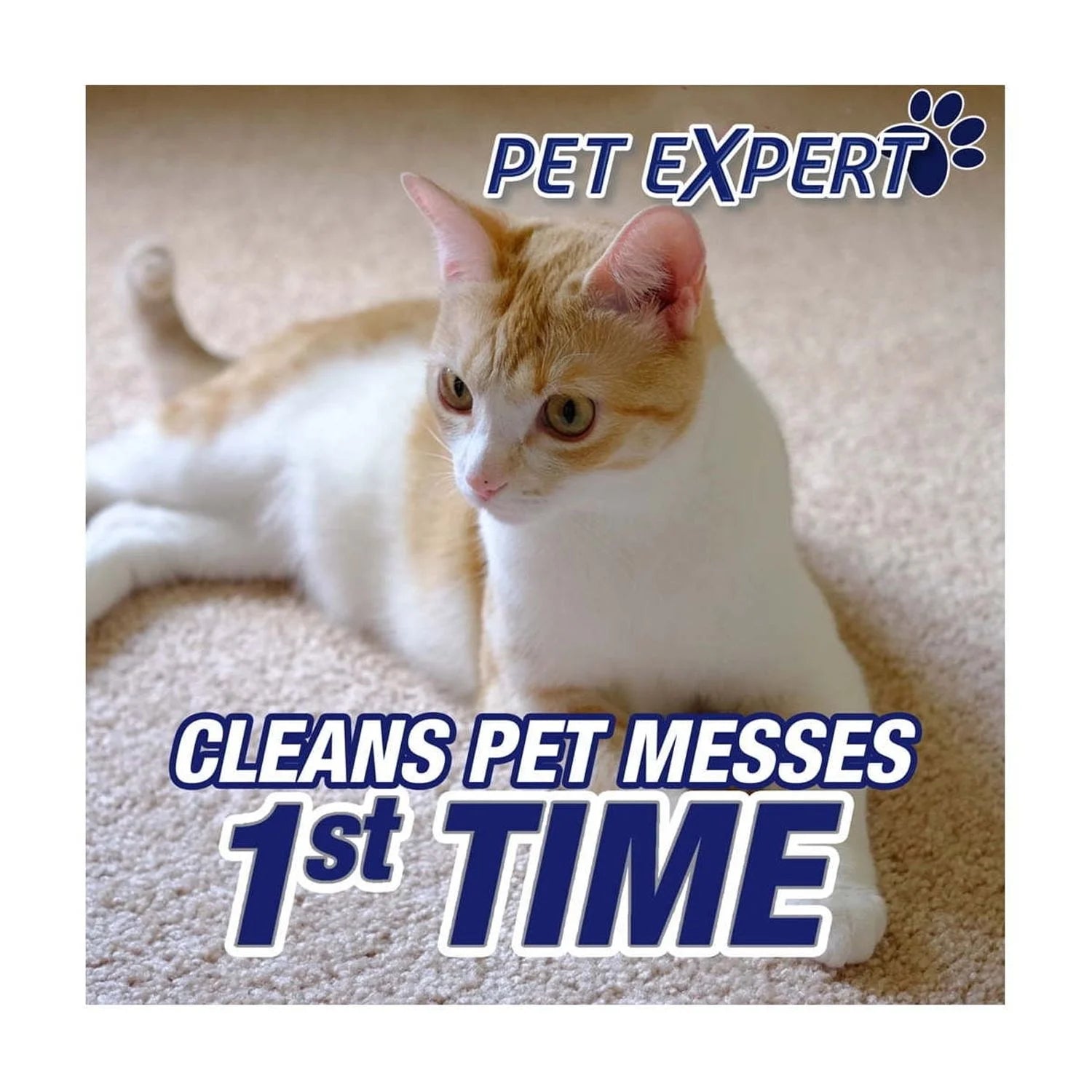 High Traffic Carpet Stain Cleaner and Odor Eliminator Foam, 22 Oz