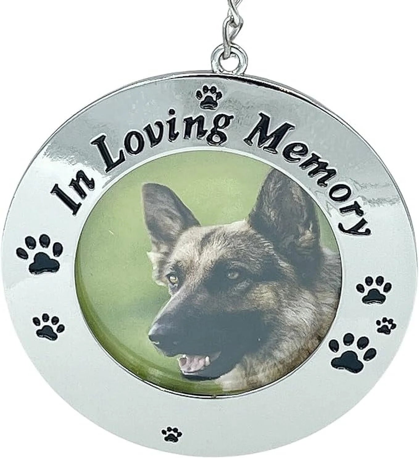 Pet Memorial Photo Frame Ornament in Loving Memory Pets Remembrance
