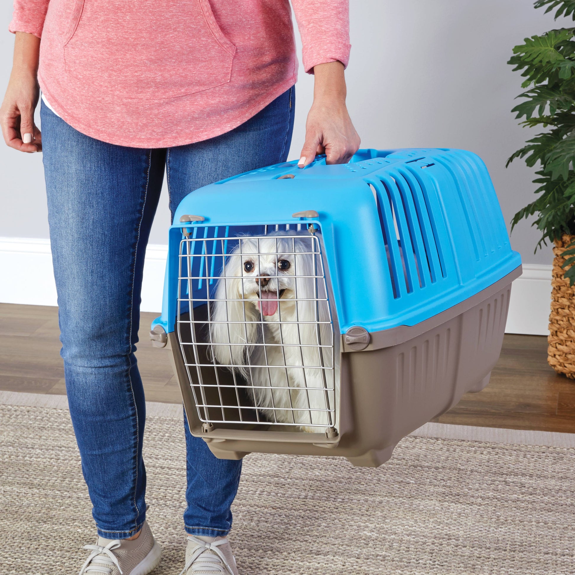24-Inch Spree Travel Pet Carrier for Dogs and Cats with Steel Door - Blue