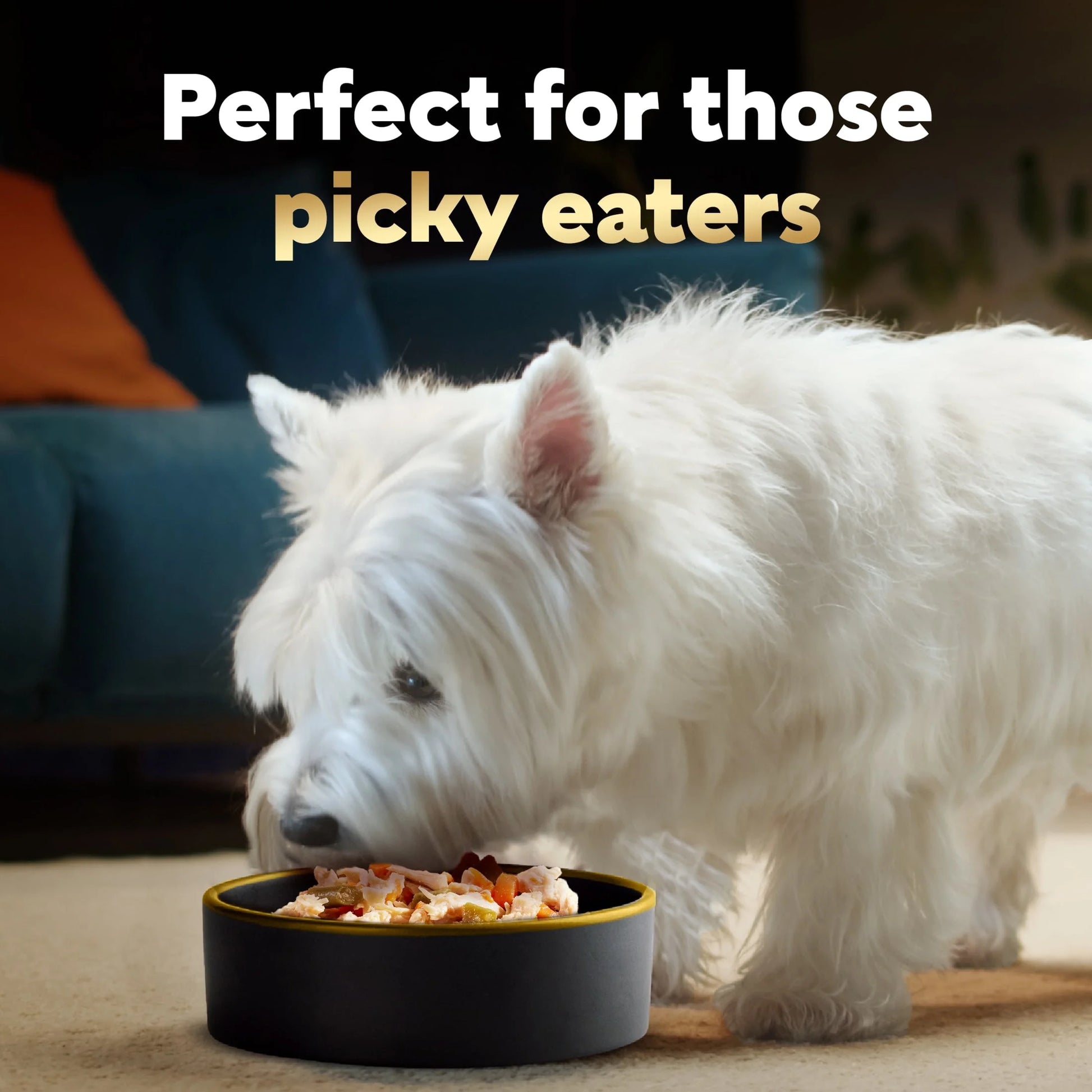 Simply Crafted Wet Dog Food Variety Pack, 1.3 oz Tubs (8 Count)