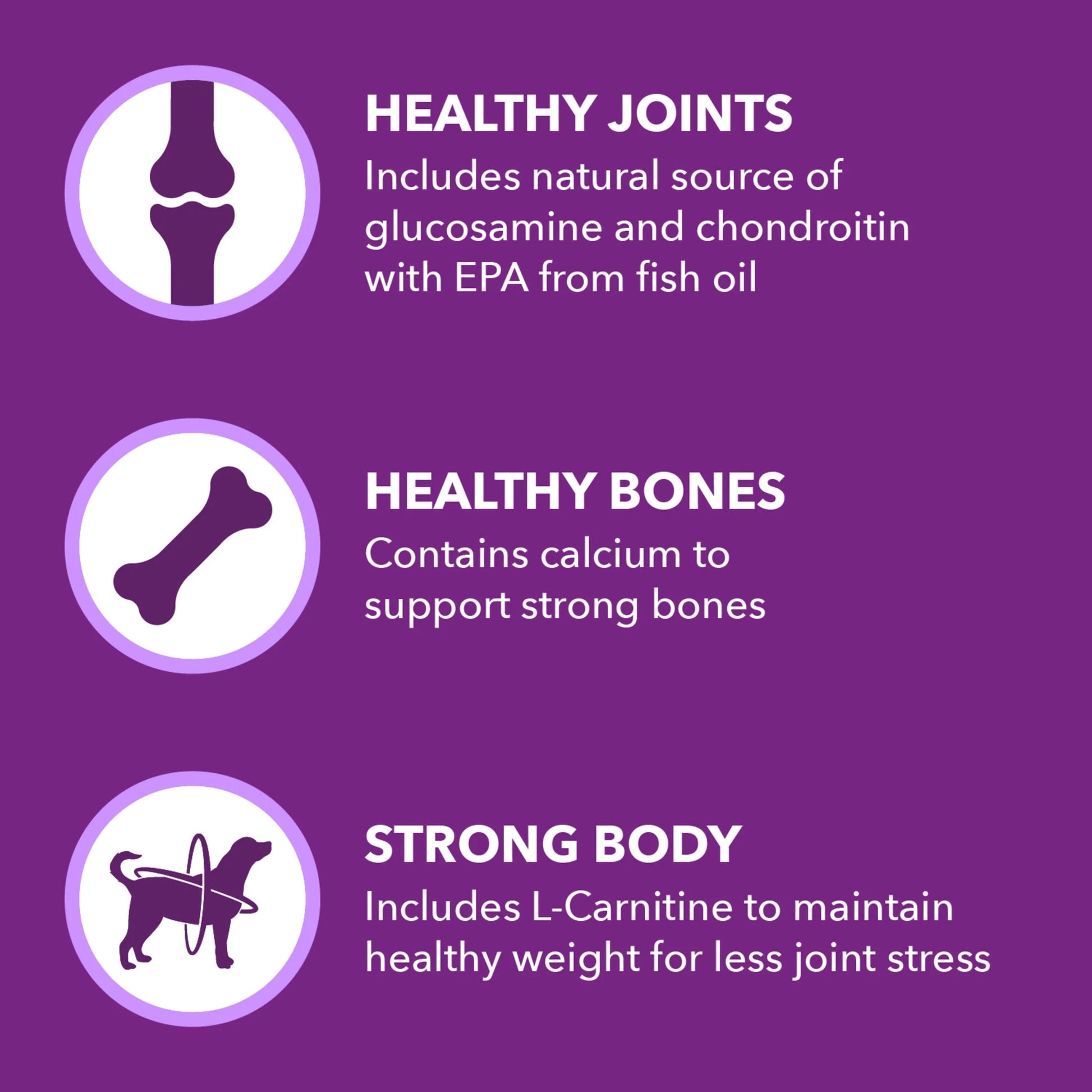 Advanced Health Mobility Support Chicken and Whole Grain Recipe Adult Dry Dog Food, 13.5 lb Bag