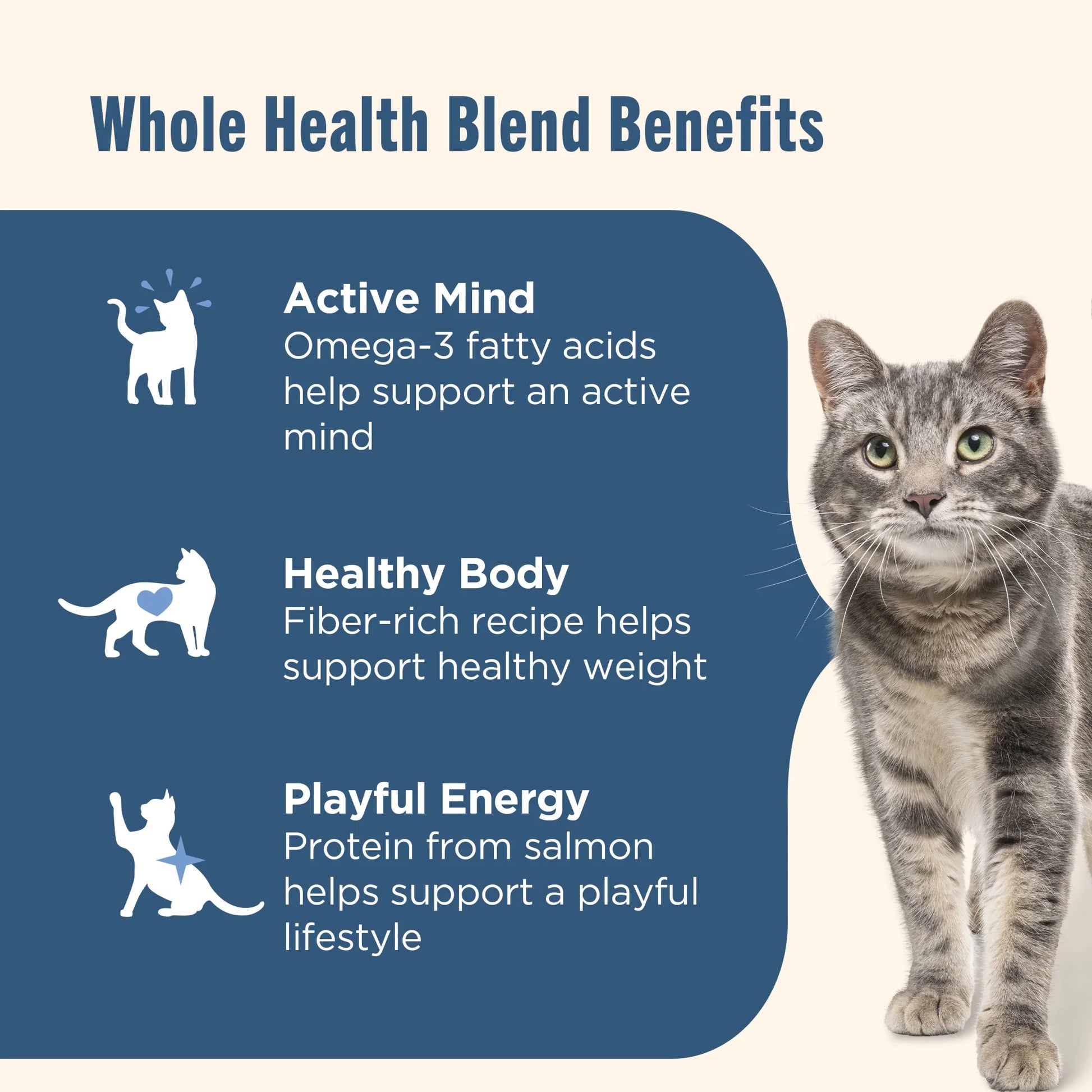 Real Salmon & Brown Rice Recipe Dry Cat Food, 3 lb Bag by Rachael Ray